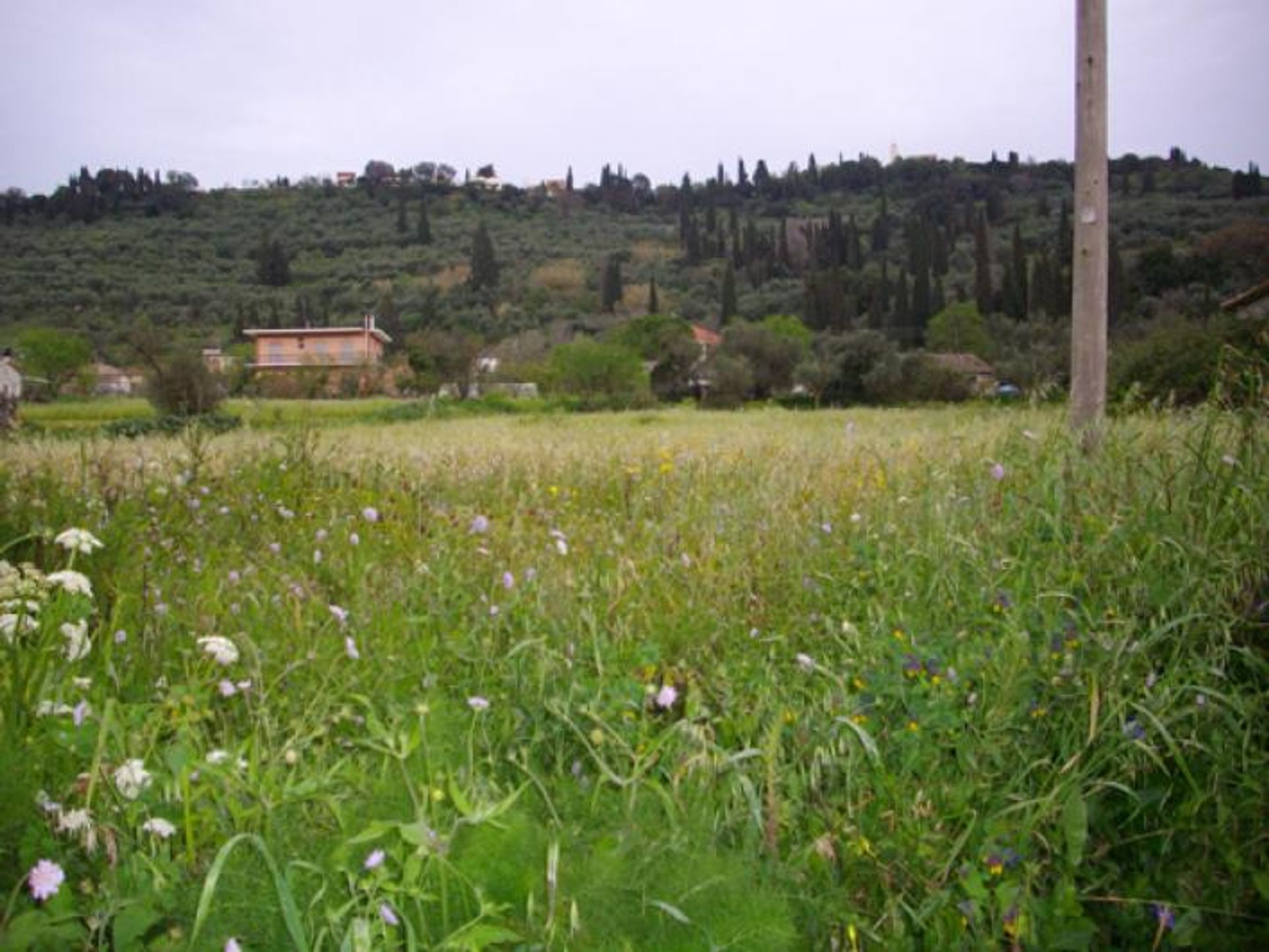 土地 在 Zakynthos, Zakinthos 10086572