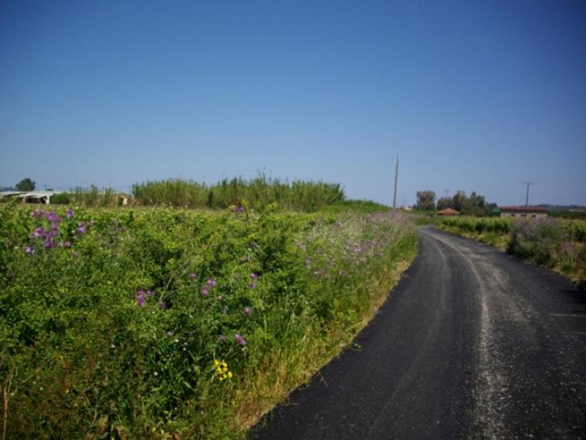 土地 在 Zakynthos, Zakinthos 10086575