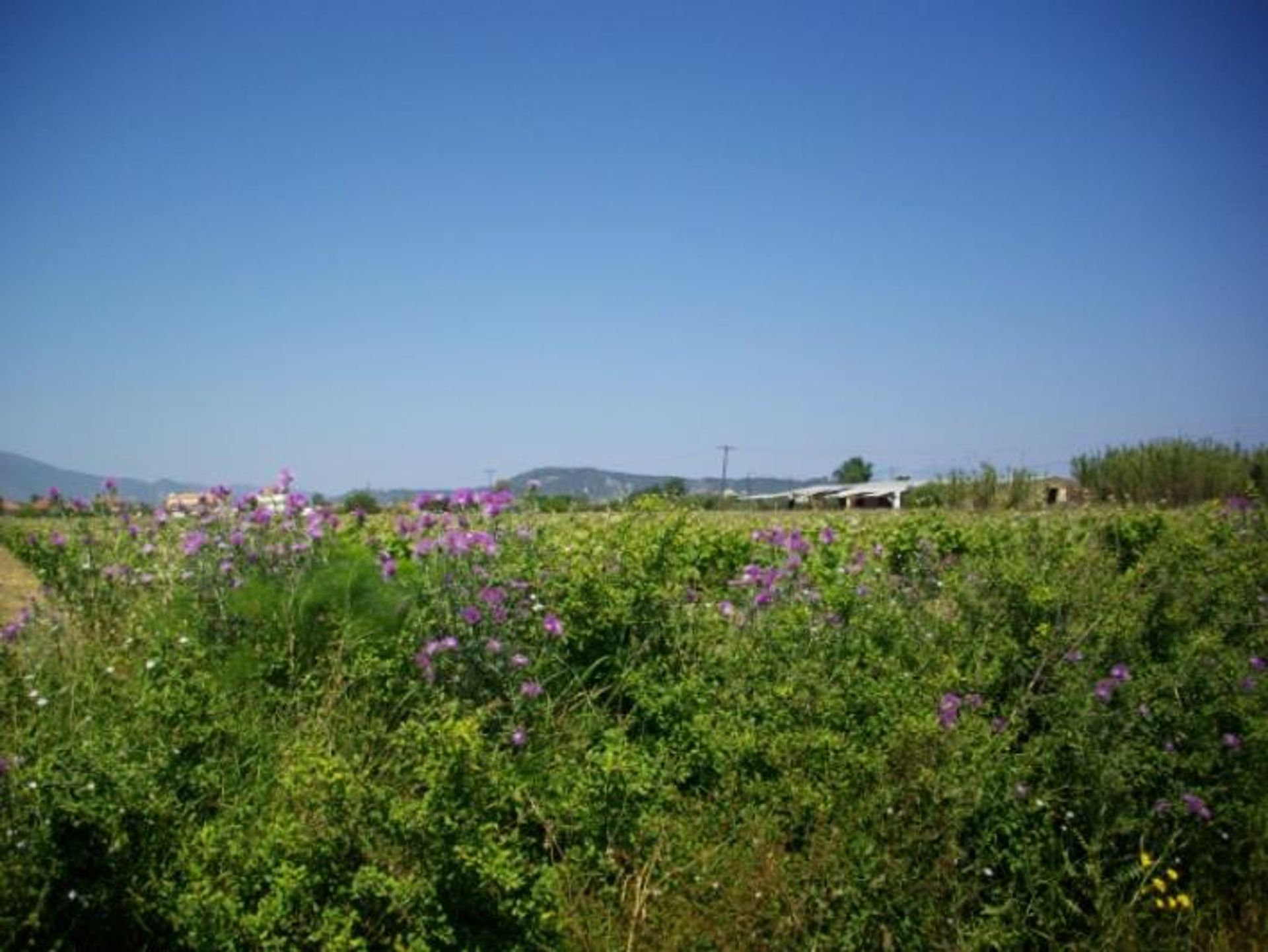 土地 在 Zakynthos, Zakinthos 10086575