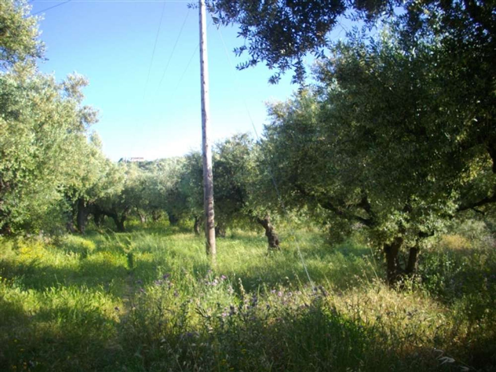 Land in Kalipado, Ionië Nisia 10086579