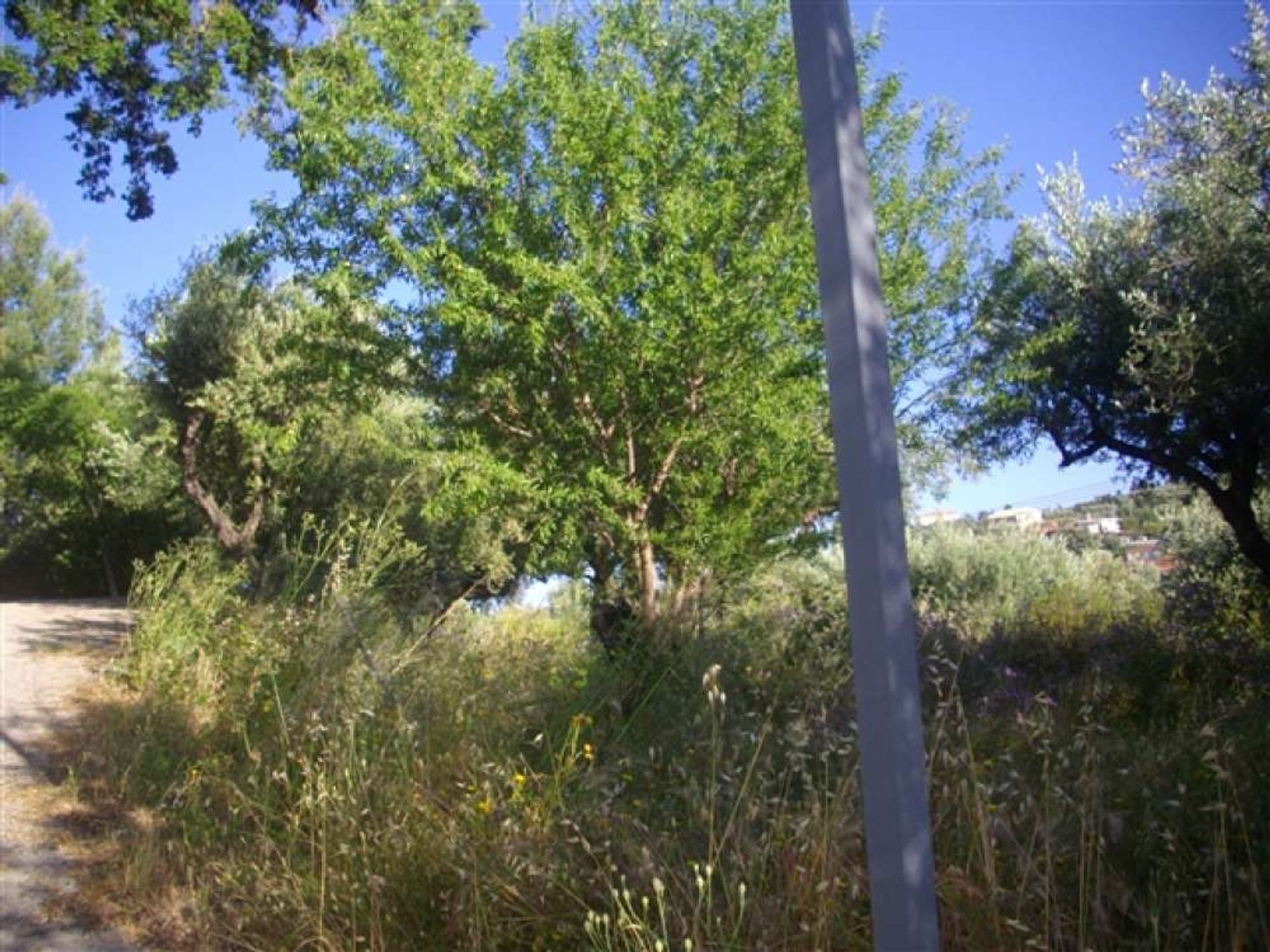 Land in Kalipado, Ionië Nisia 10086579