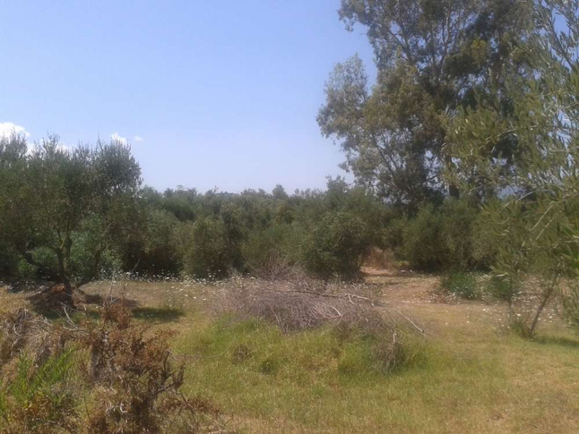 Γη σε Zakynthos, Zakinthos 10086580