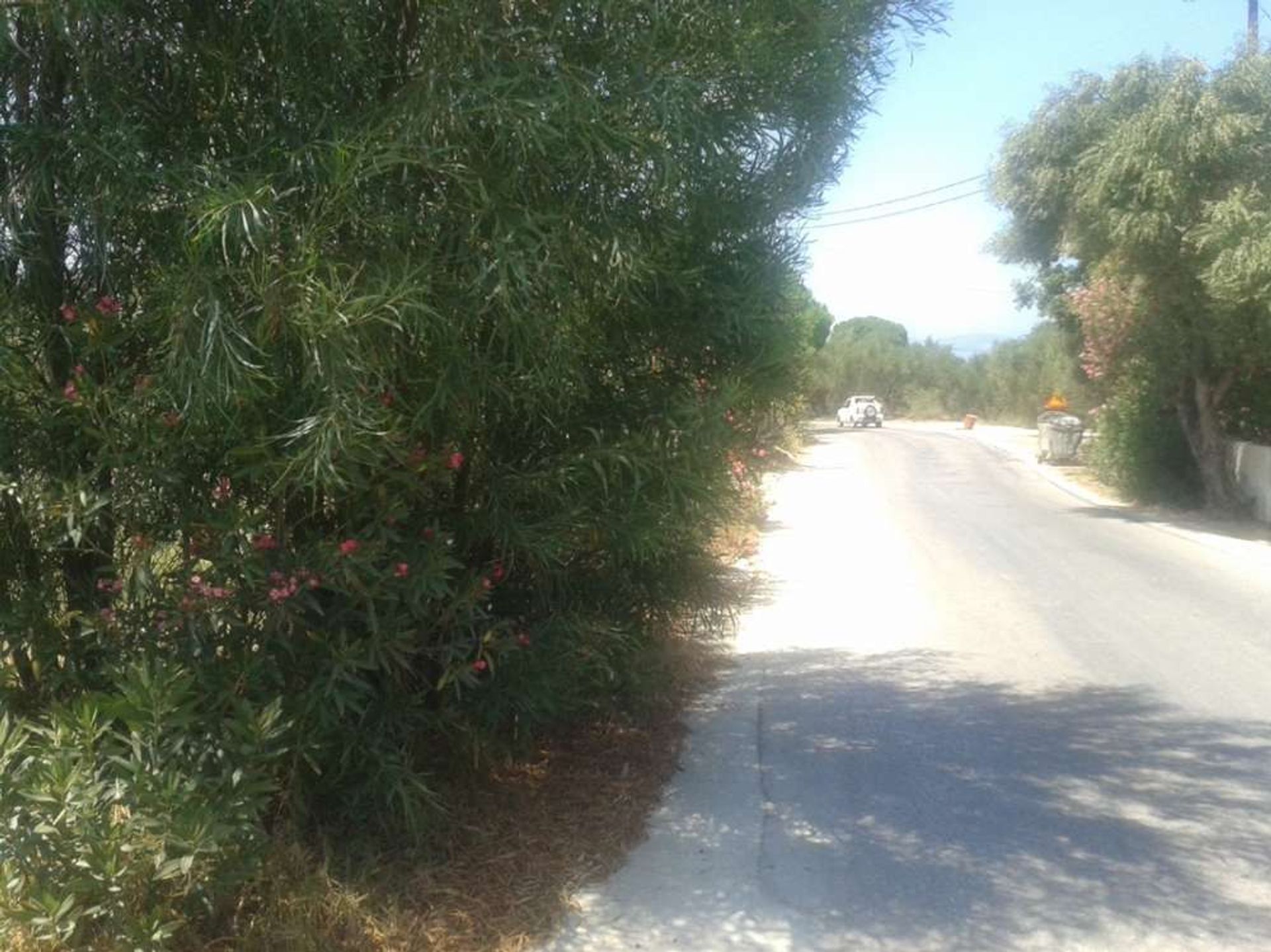 Γη σε Zakynthos, Zakinthos 10086580