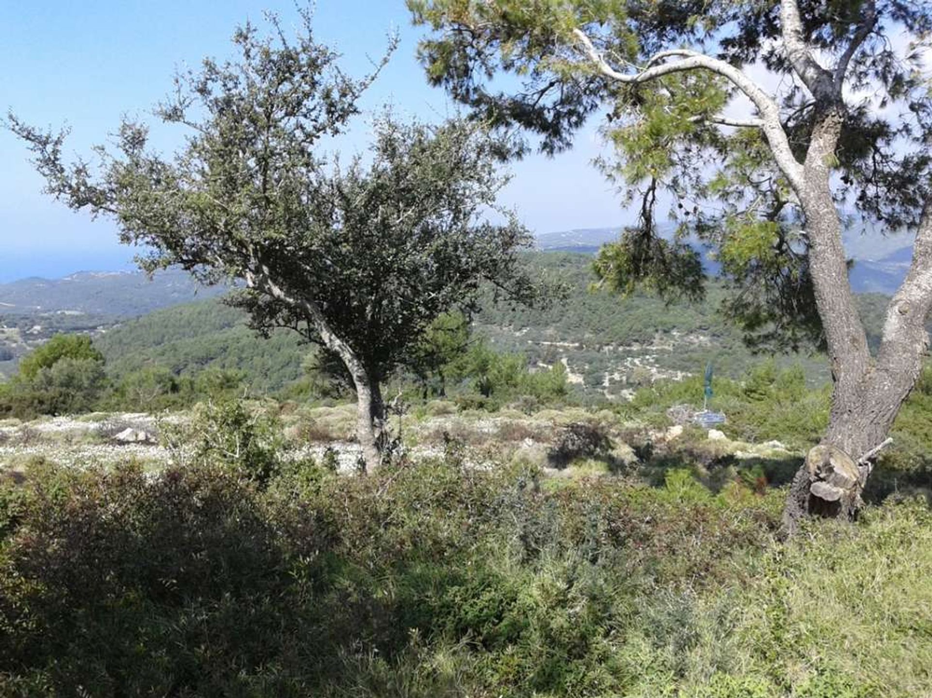 Γη σε Zakynthos, Zakinthos 10086581