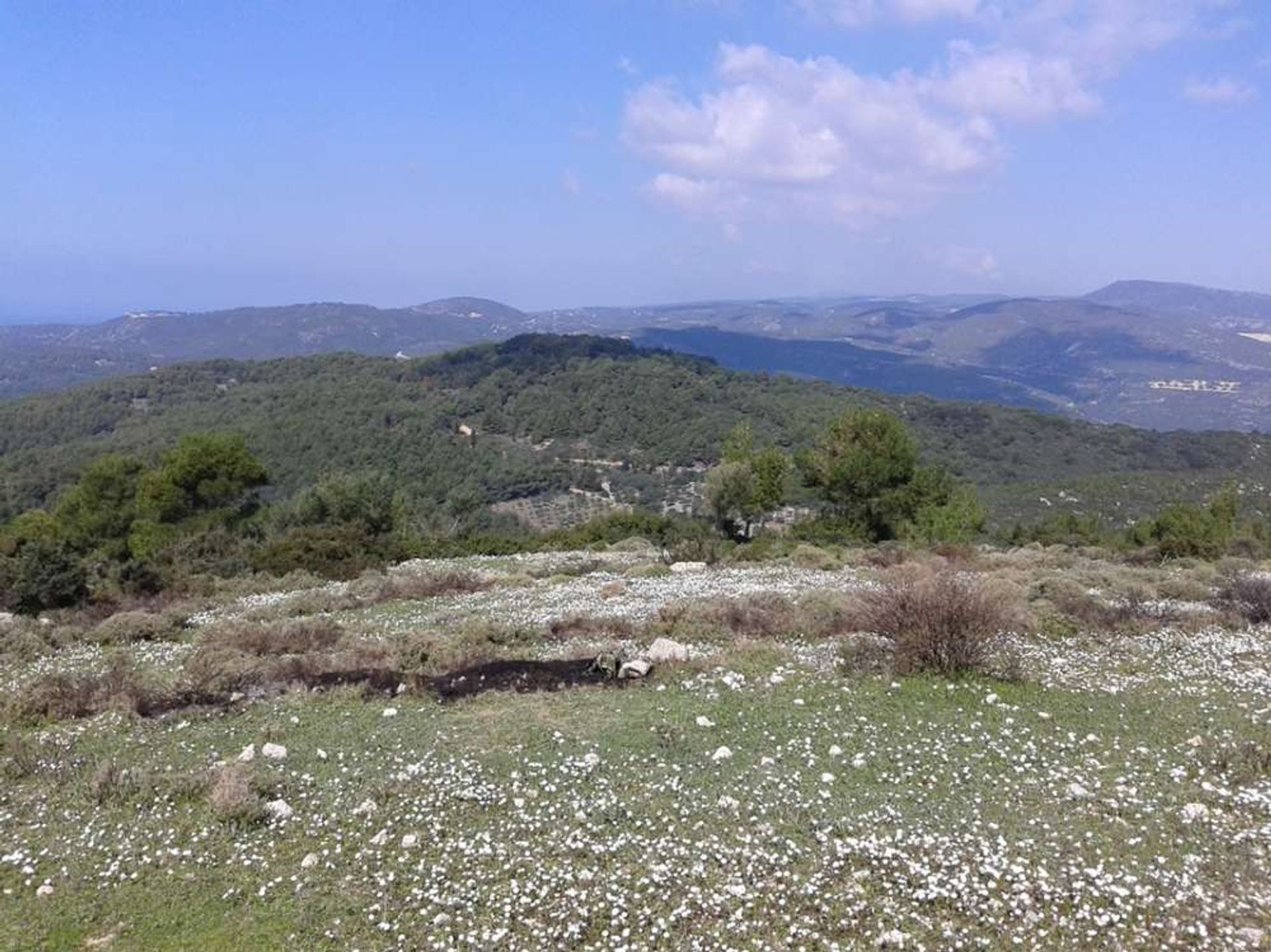 Land in Zakynthos, Zakinthos 10086581