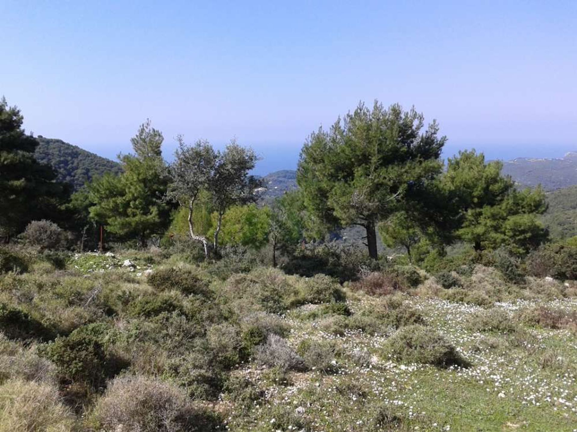 Land in Zakynthos, Zakinthos 10086581