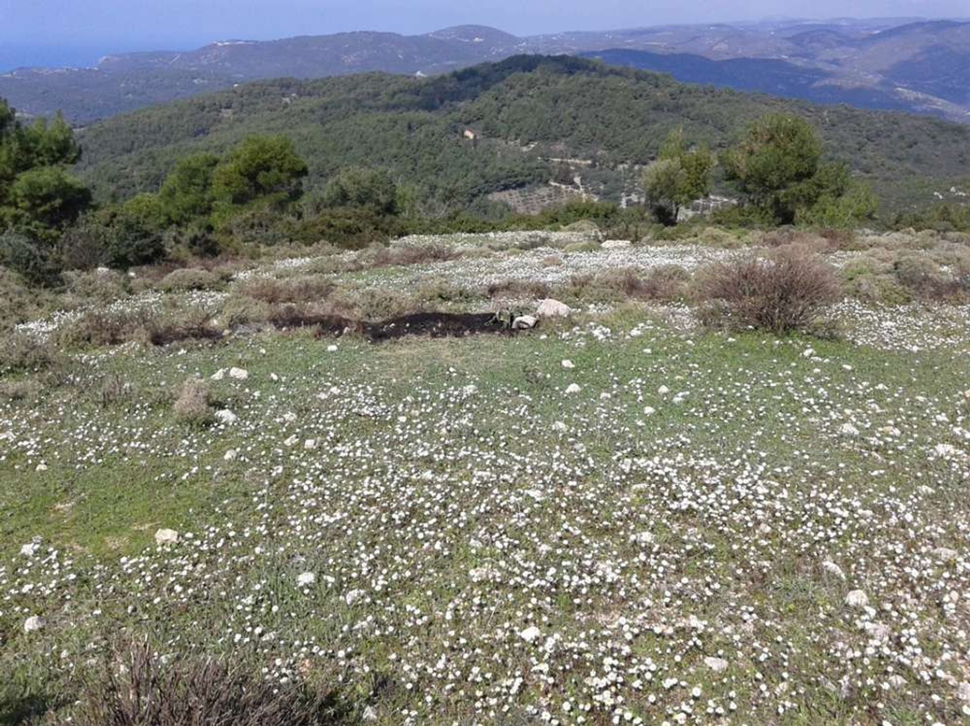 Land in Zakynthos, Zakinthos 10086581