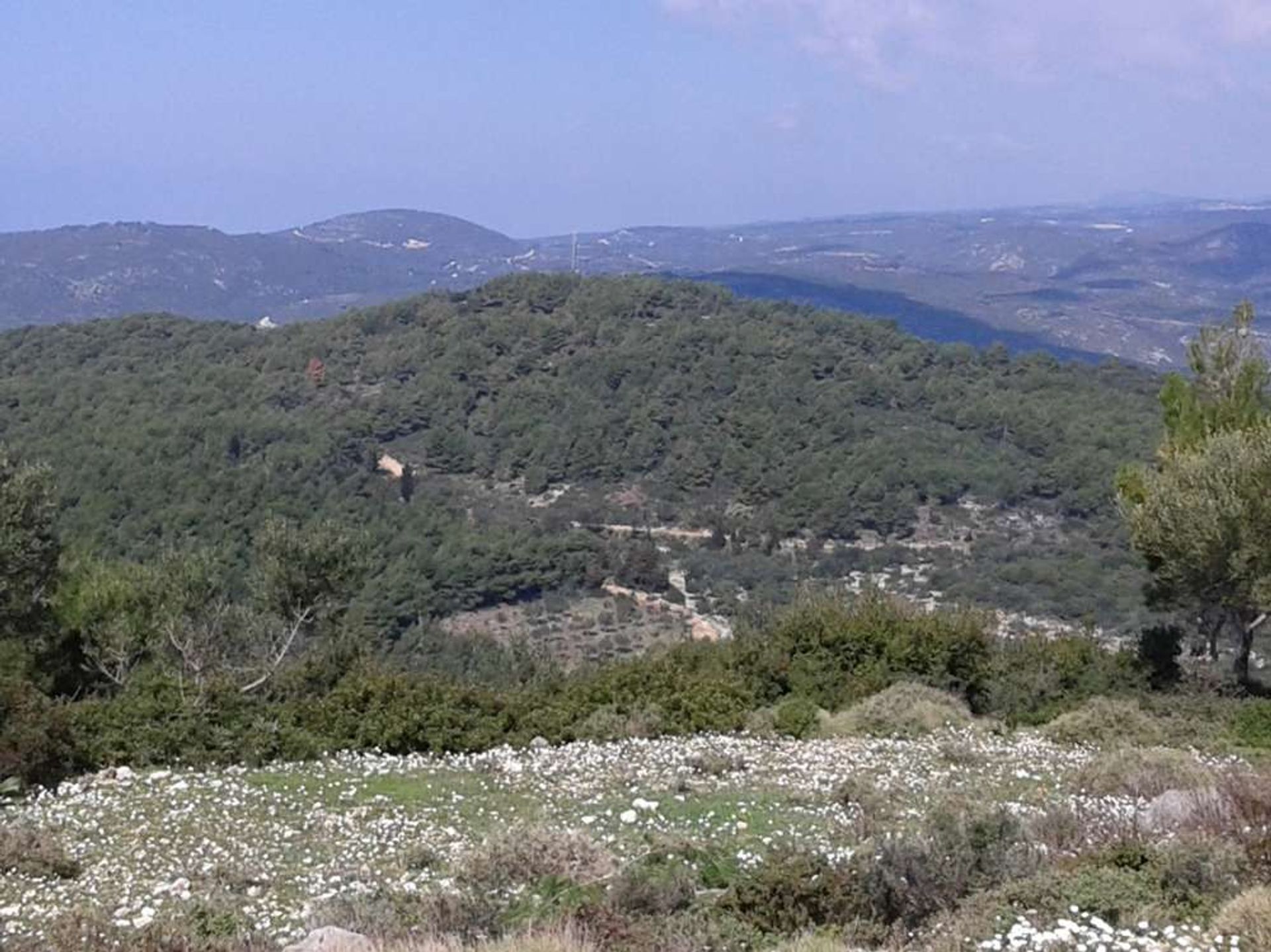 Γη σε Zakynthos, Zakinthos 10086581