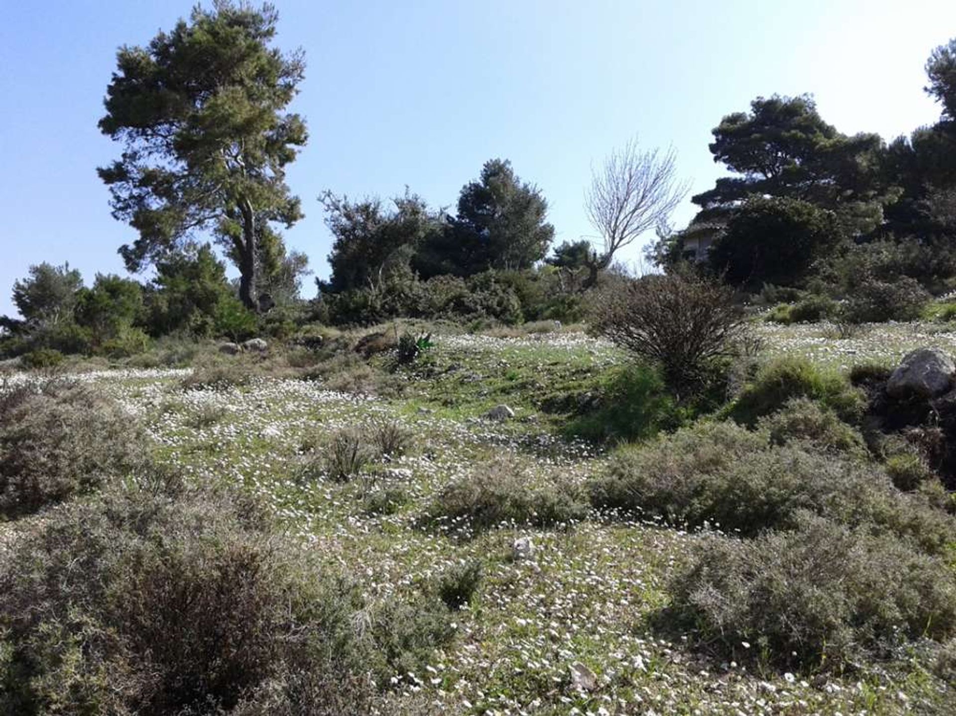 Terra no Zakynthos, Zakinthos 10086581