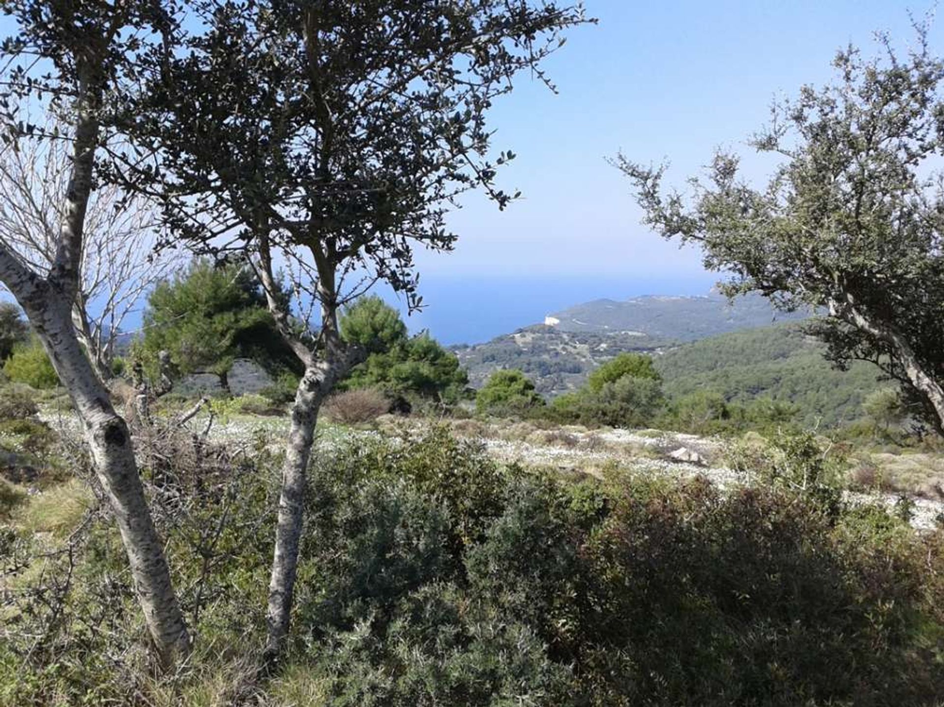 Terra no Zakynthos, Zakinthos 10086581