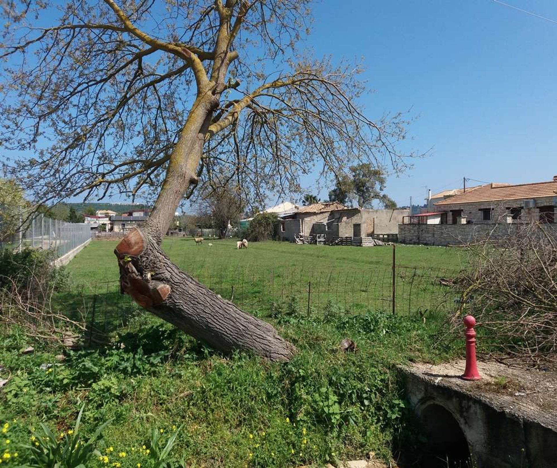 Land in Zakynthos, Zakinthos 10086586