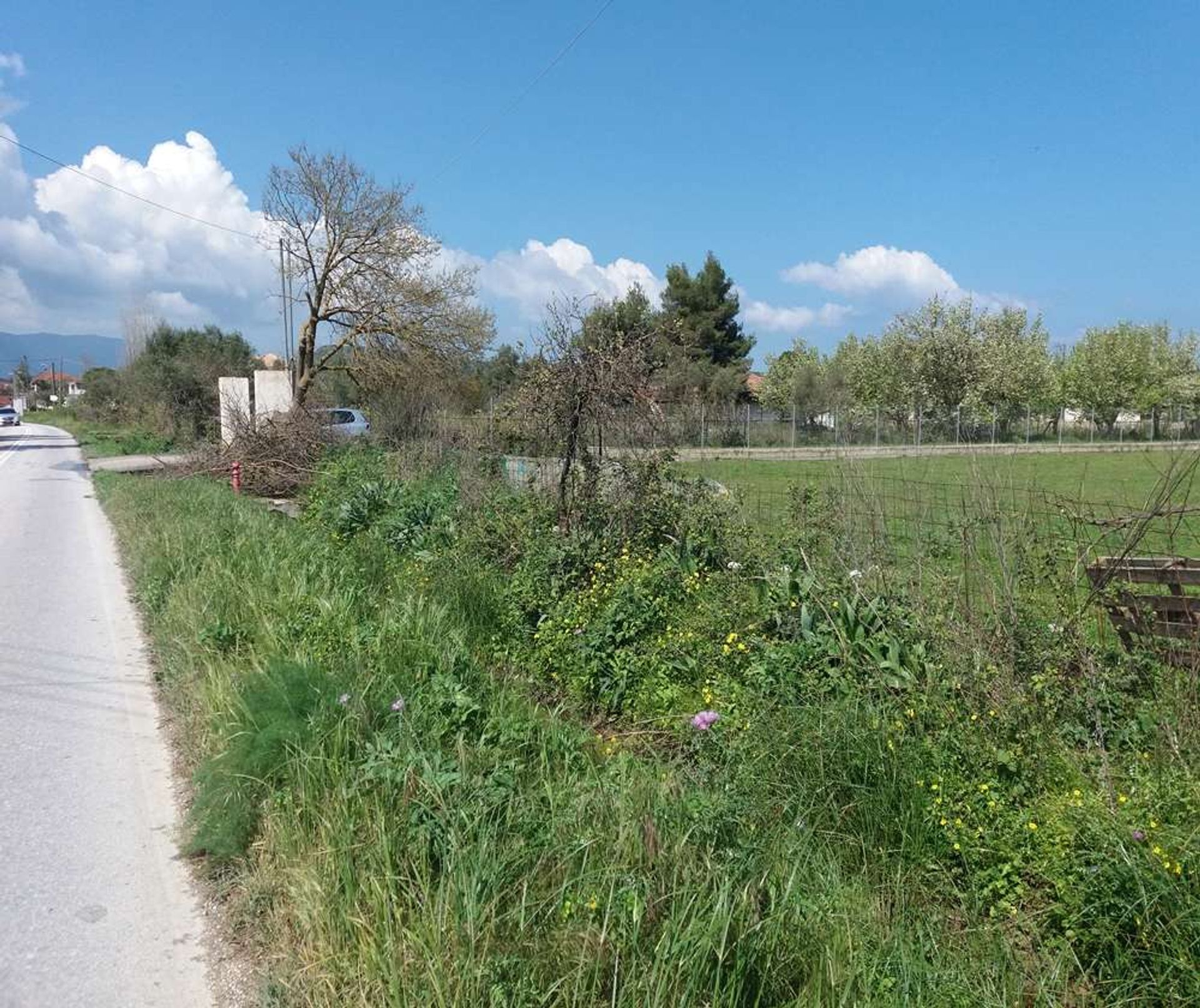 Land in Zakynthos, Zakinthos 10086586