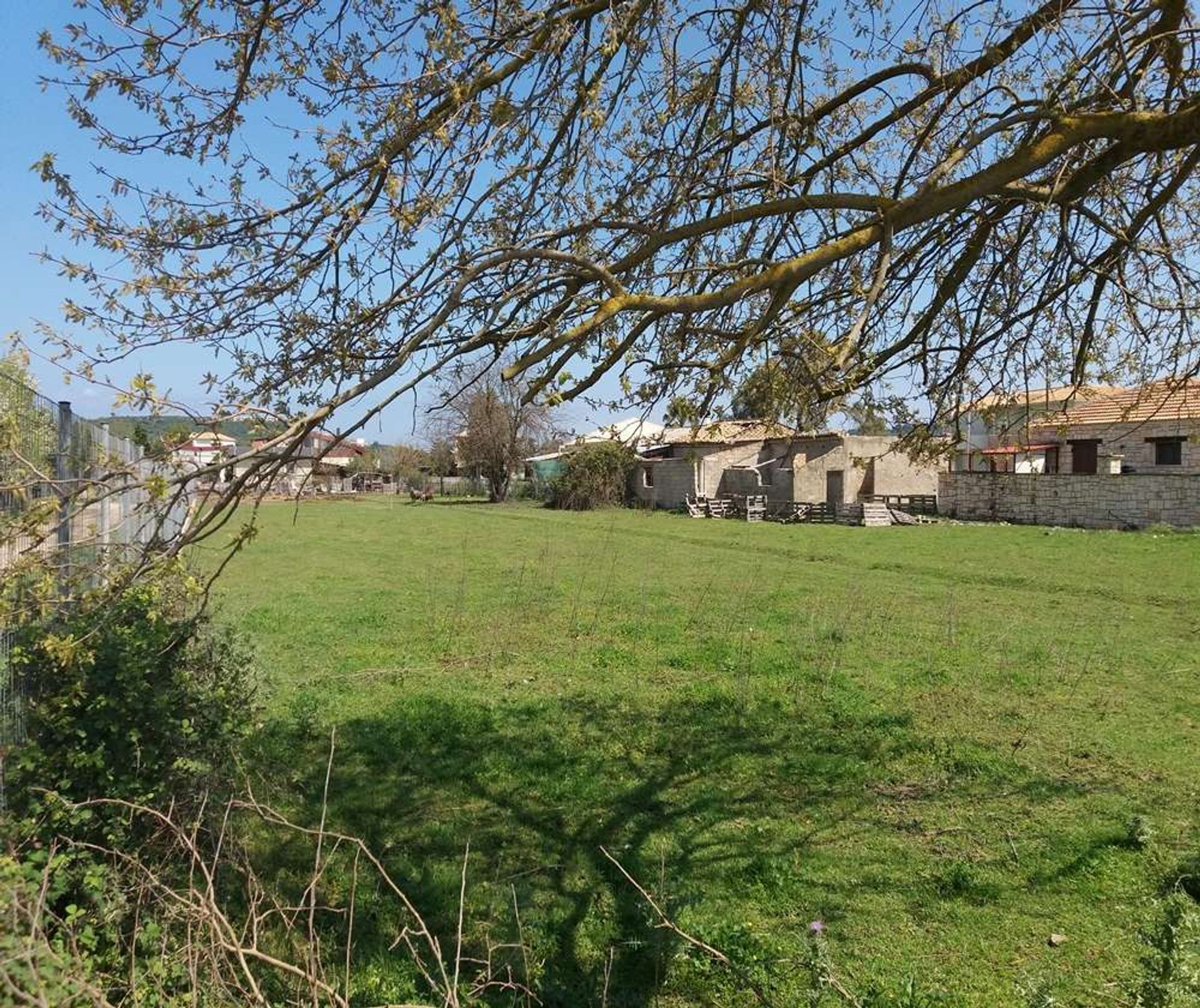 Tierra en Zakynthos, Zakinthos 10086586