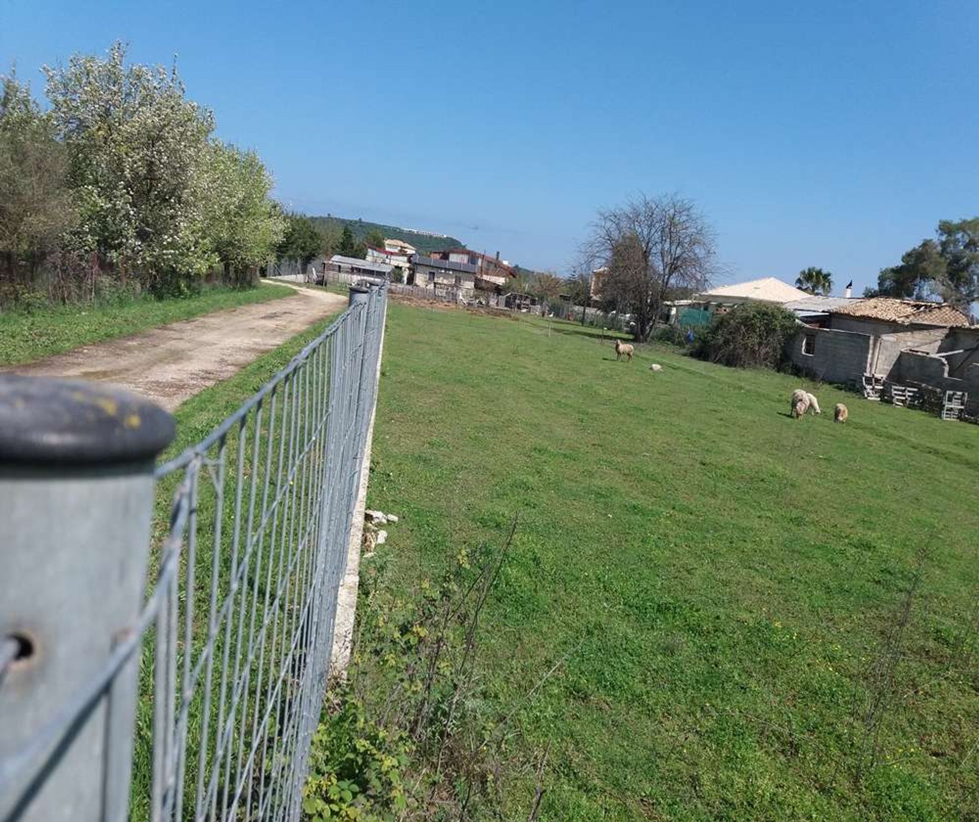 Jord i Zakynthos, Zakinthos 10086586