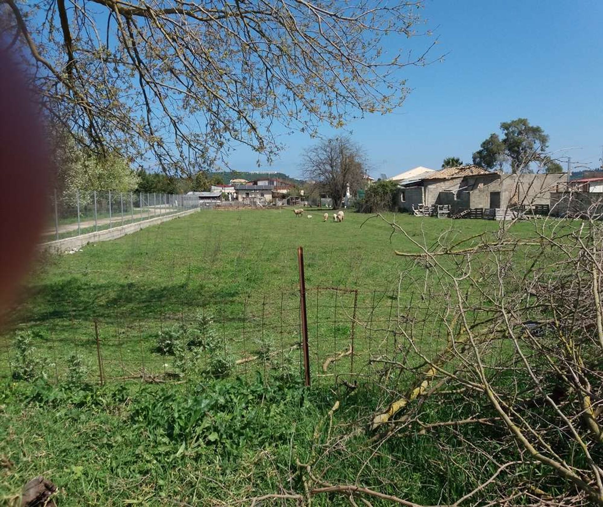 الأرض في Zakynthos, Zakinthos 10086586