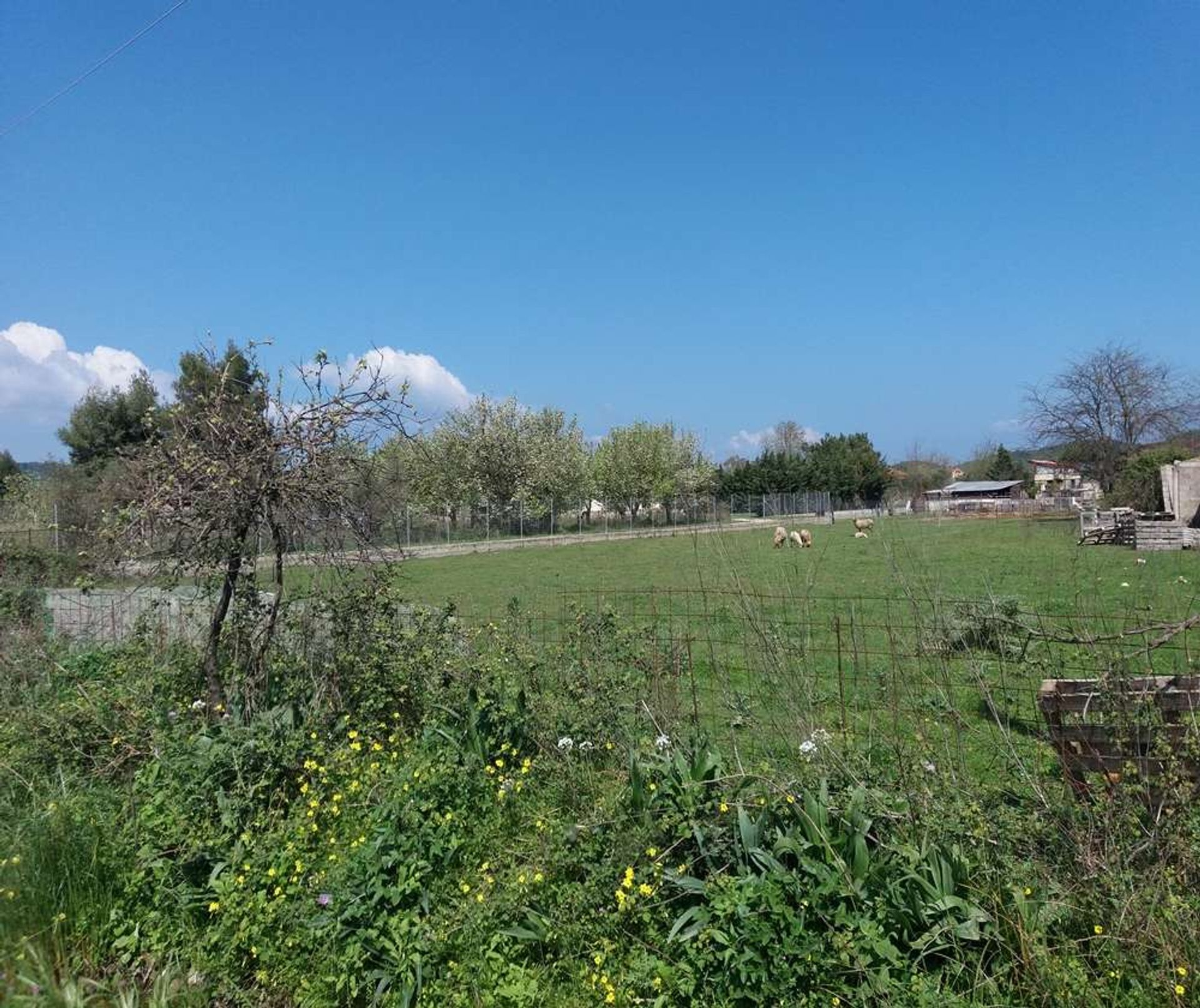 Tierra en Zakynthos, Zakinthos 10086586