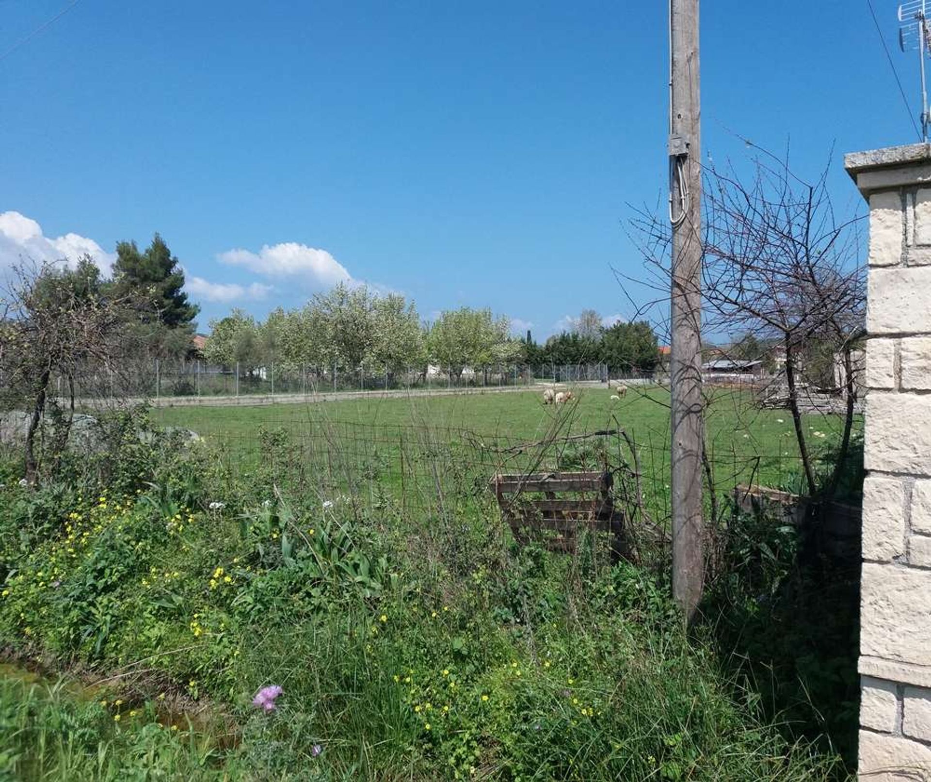 ארץ ב Zakynthos, Zakinthos 10086586