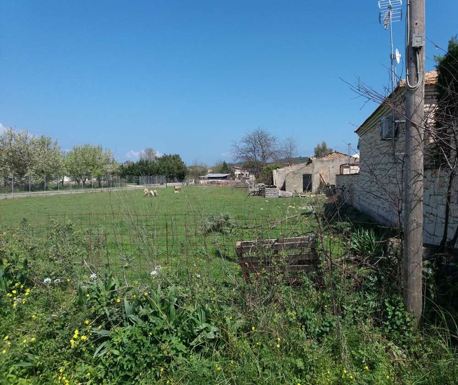 Tierra en Zakynthos, Zakinthos 10086586