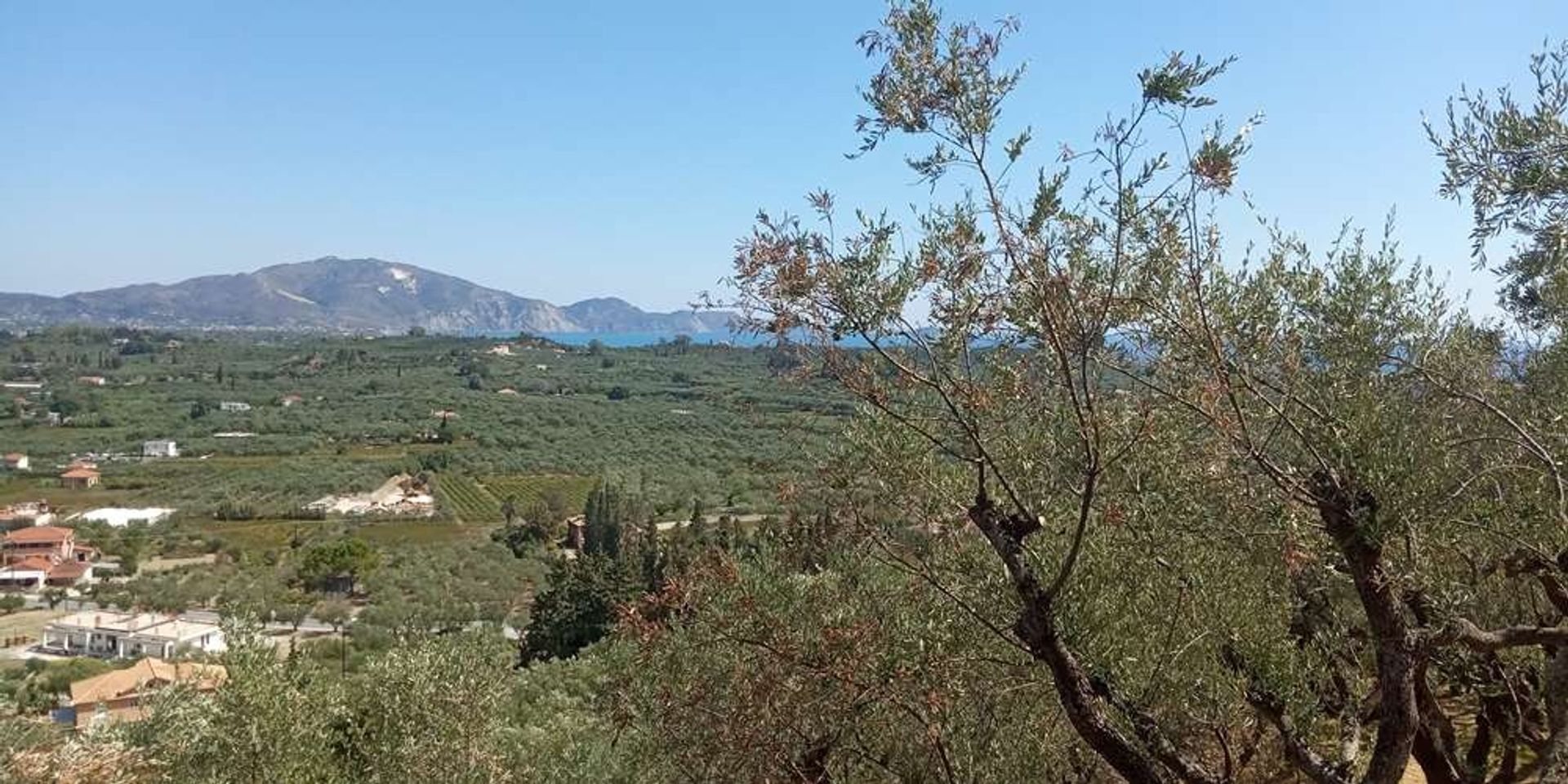 Land in Zakynthos, Zakinthos 10086587