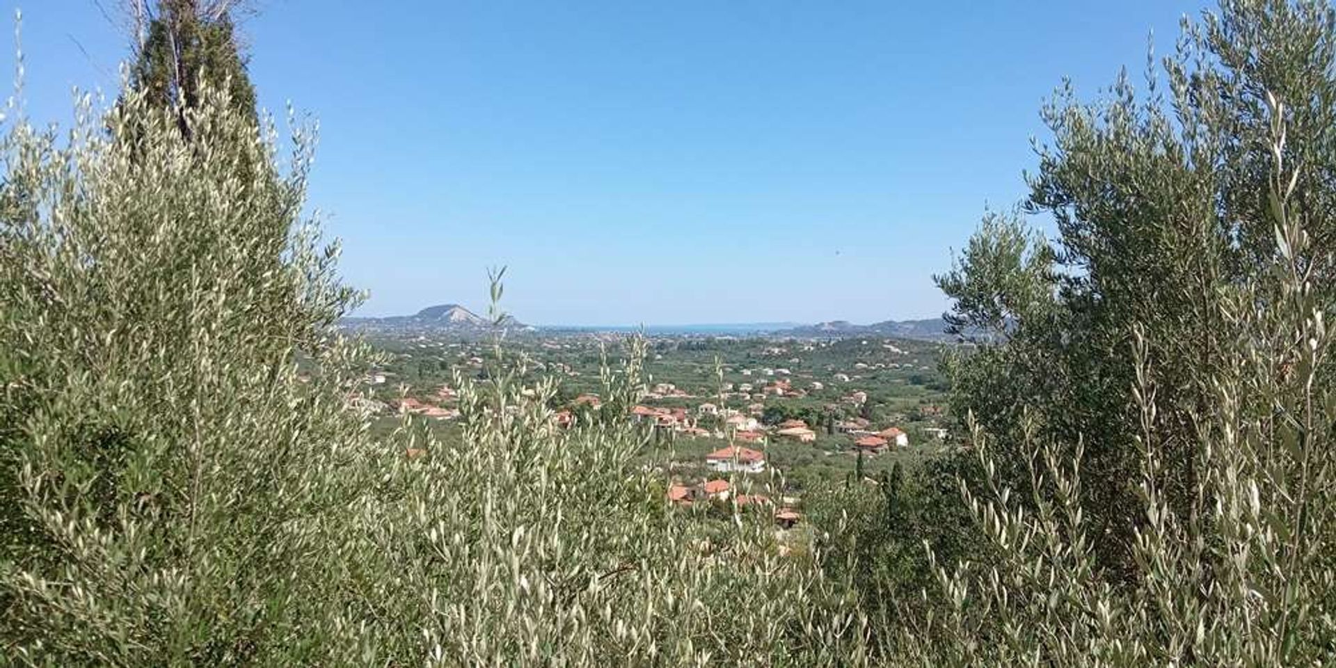 Land in Zakynthos, Zakinthos 10086587