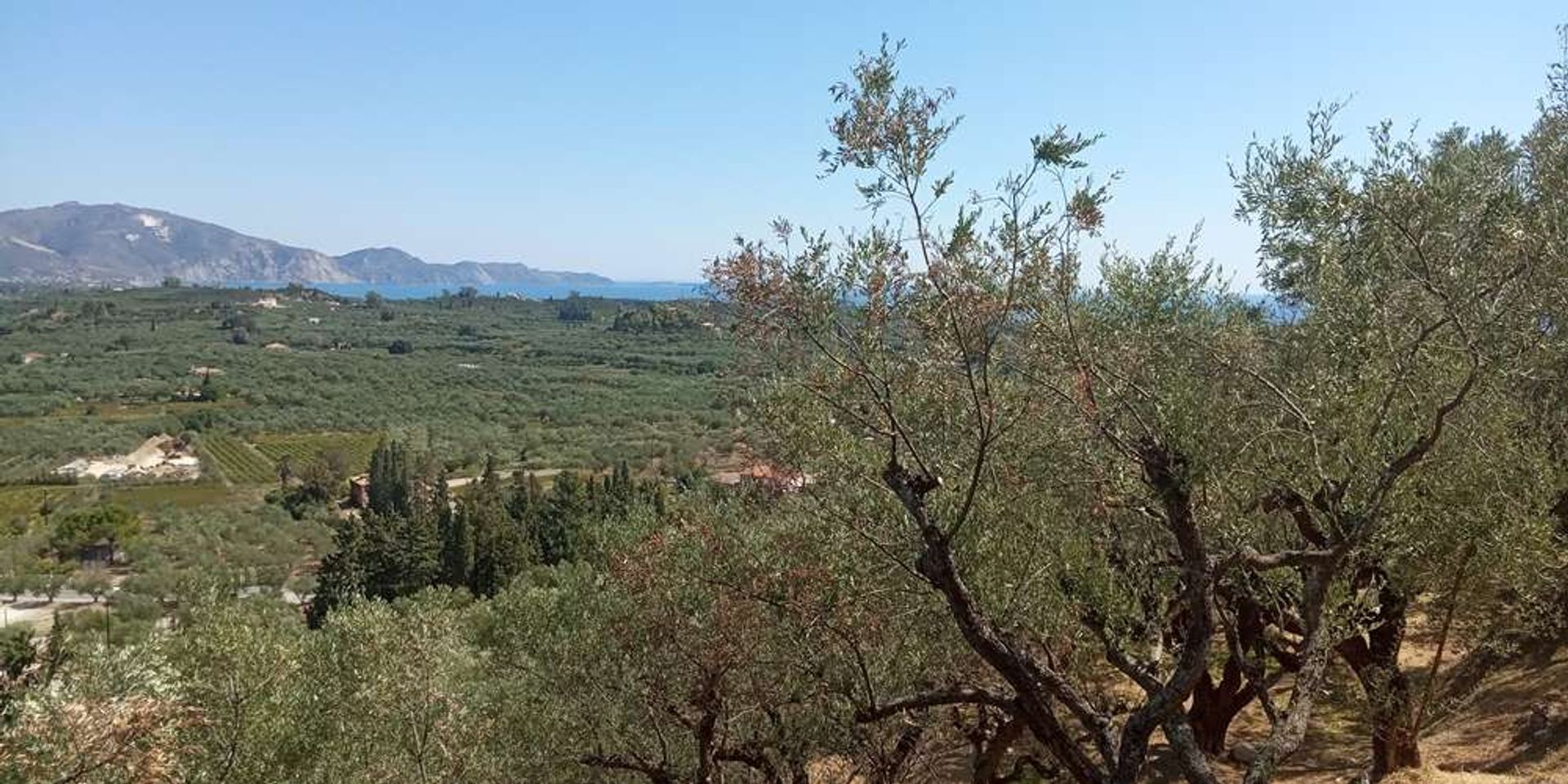 Γη σε Zakynthos, Zakinthos 10086587