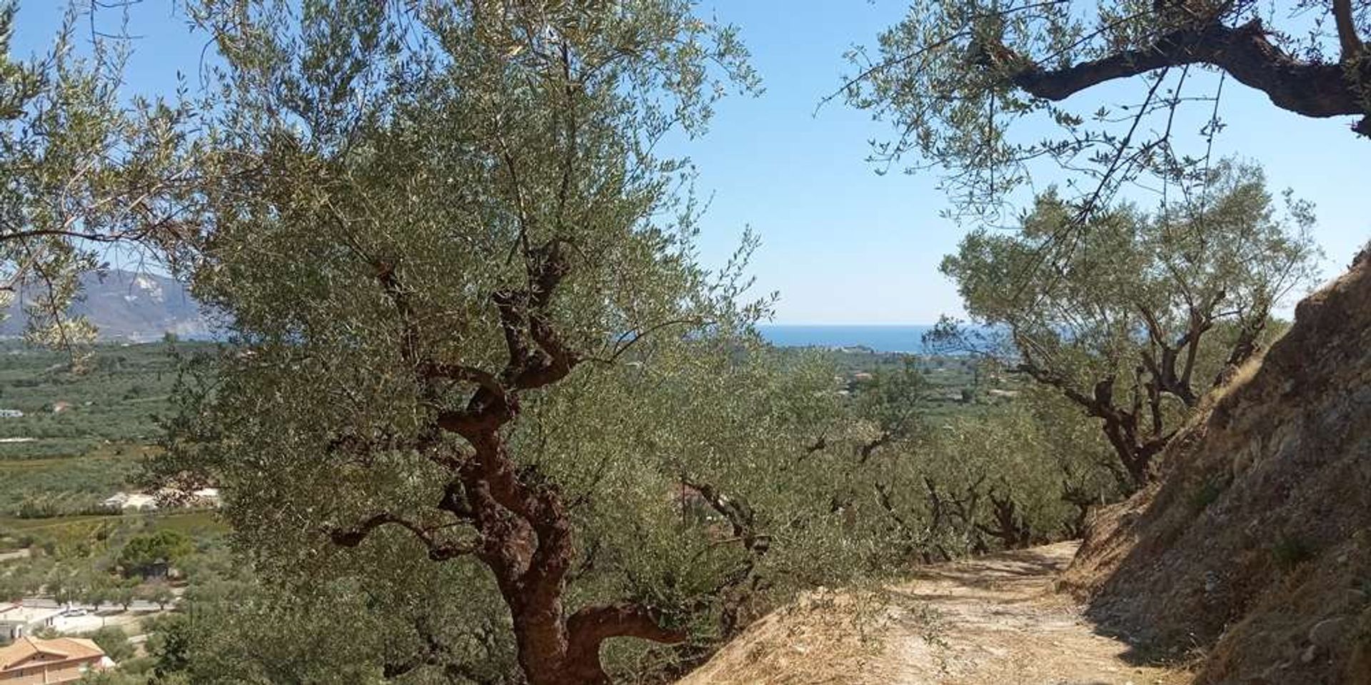 Terra no Zakynthos, Zakinthos 10086587