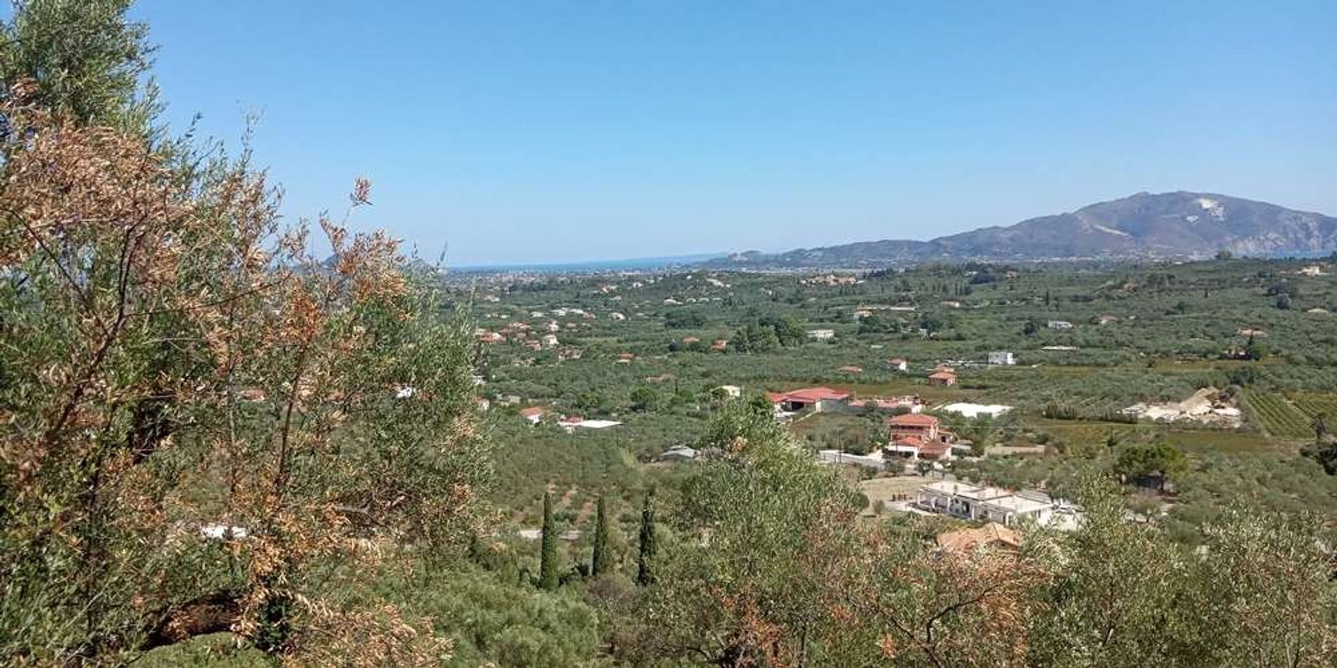 Γη σε Zakynthos, Zakinthos 10086587