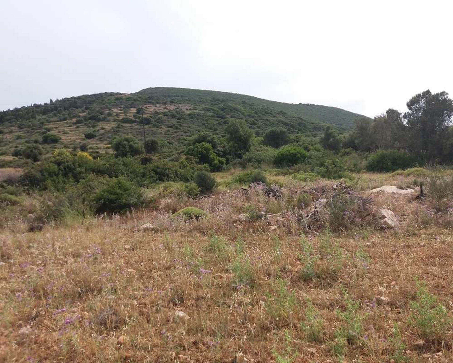 Land im Zakynthos, Zakinthos 10086588