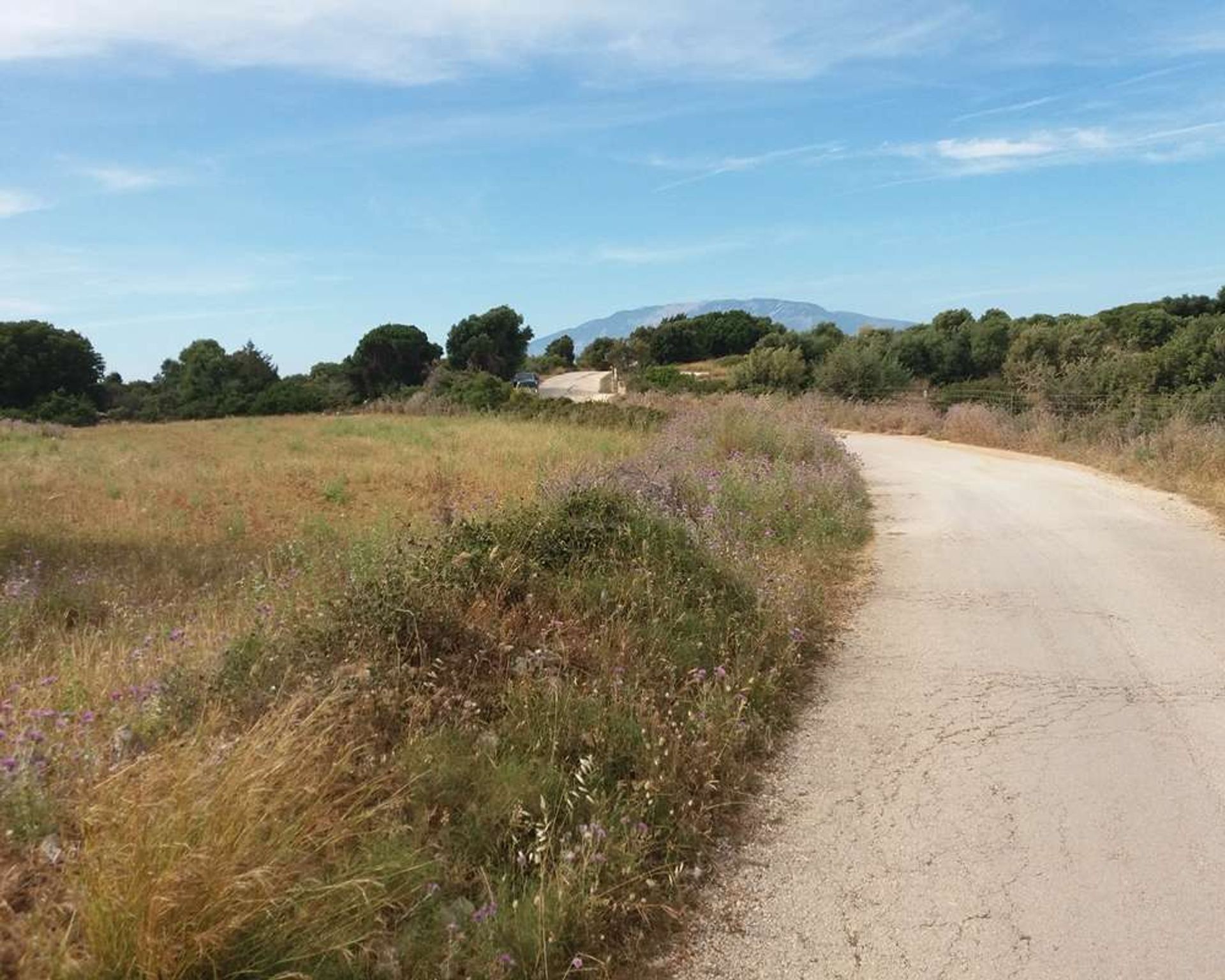 Land im Zakynthos, Zakinthos 10086588