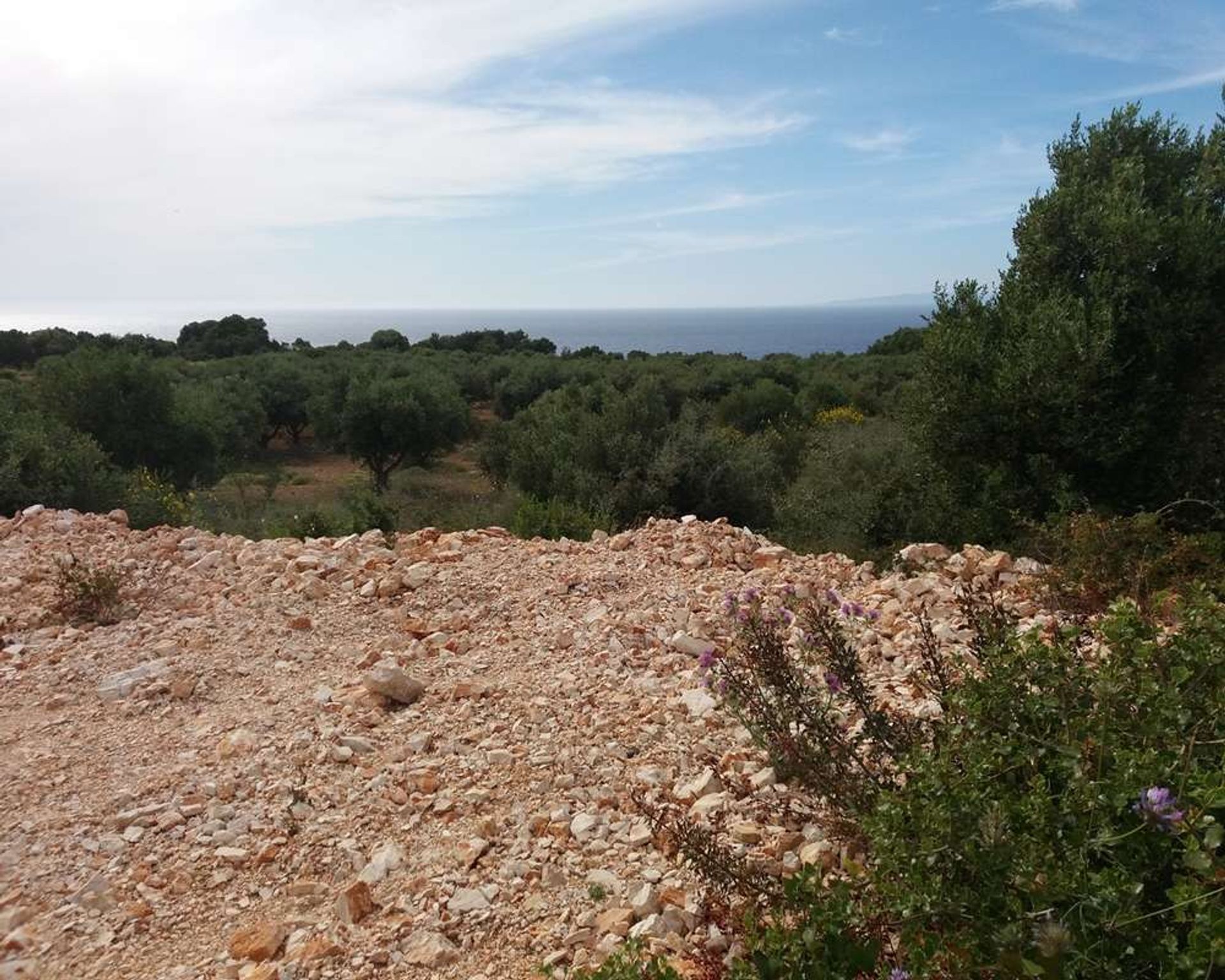 Land im Zakynthos, Zakinthos 10086588