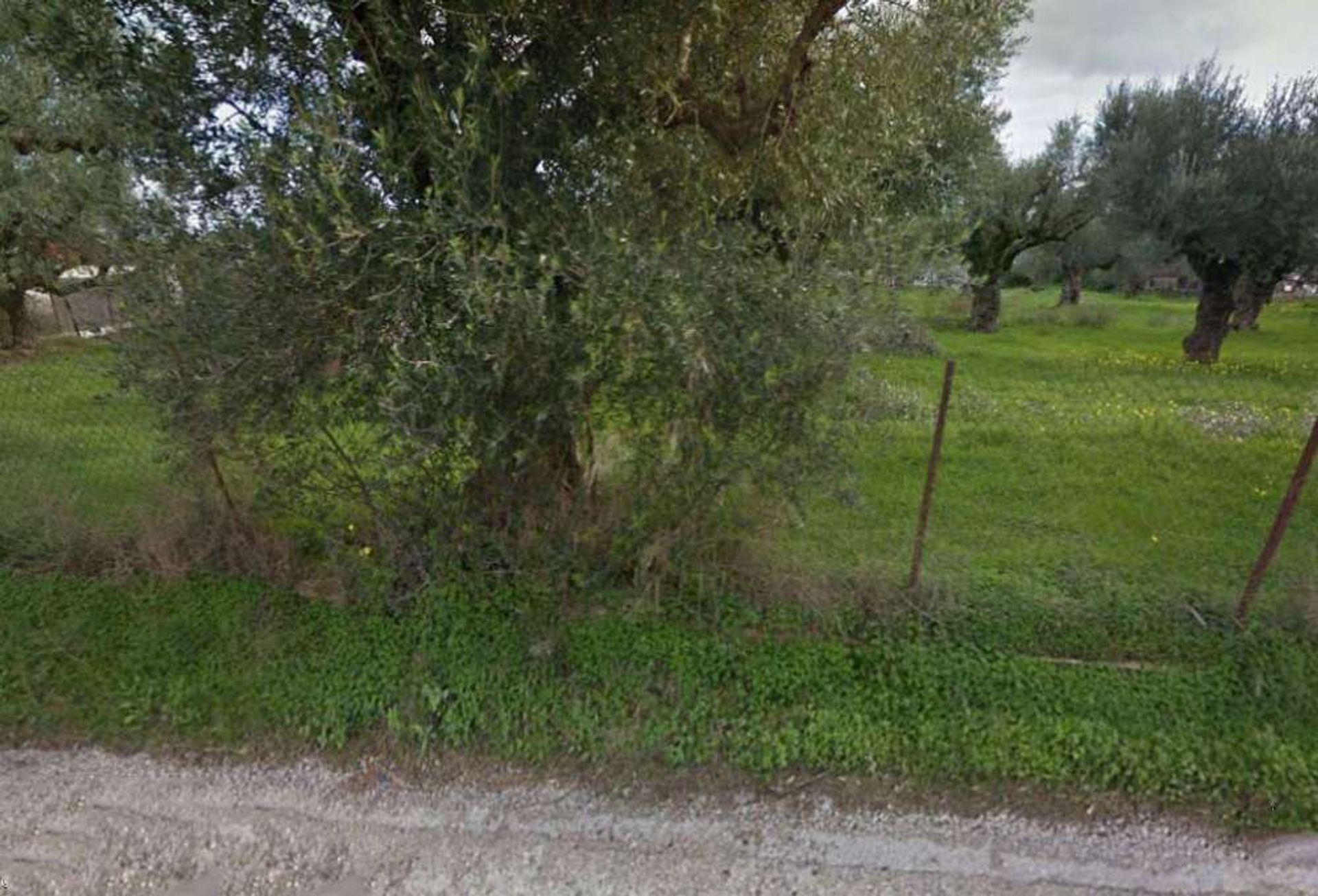 Tierra en Zakynthos, Zakinthos 10086589