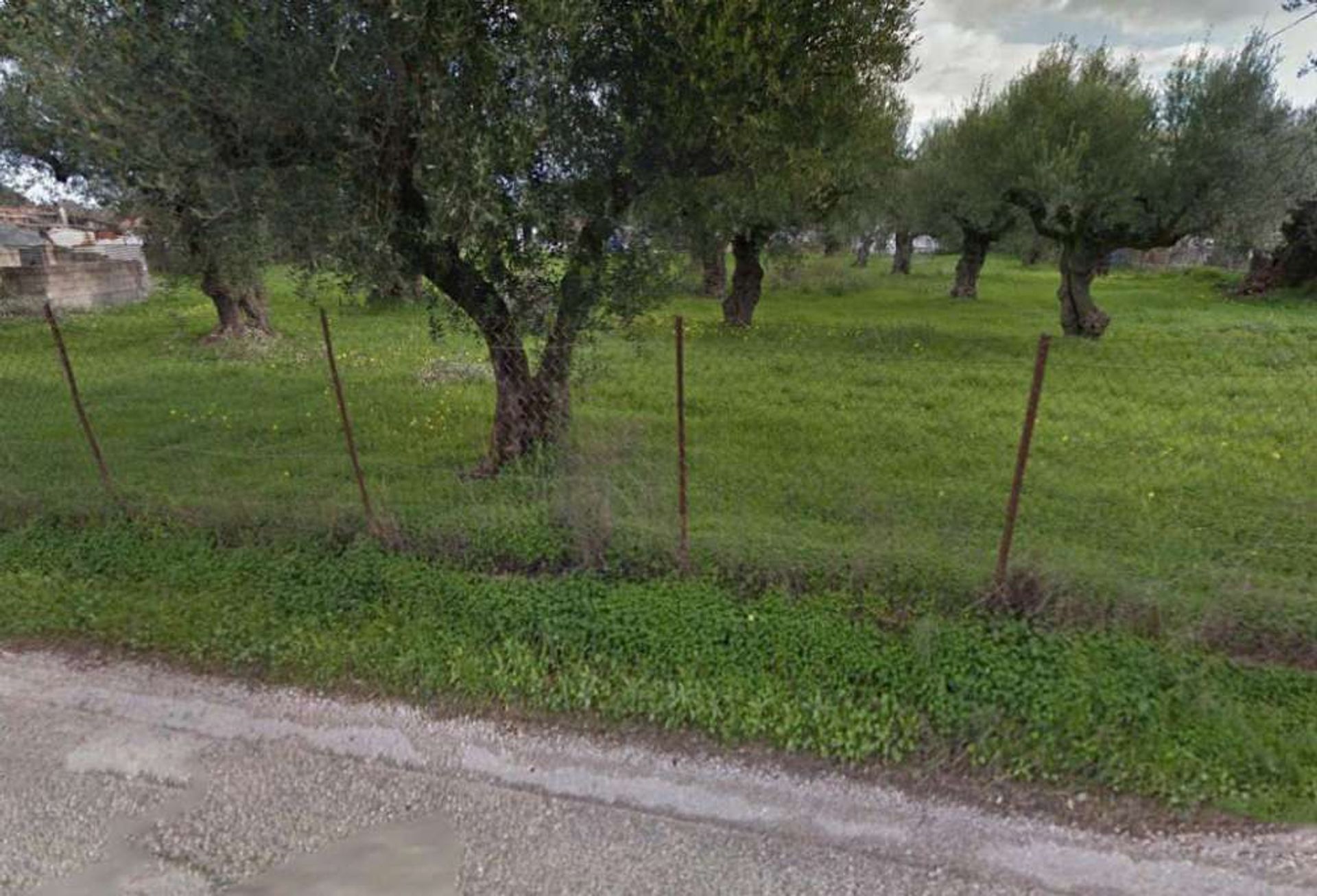 Tierra en Zakynthos, Zakinthos 10086589