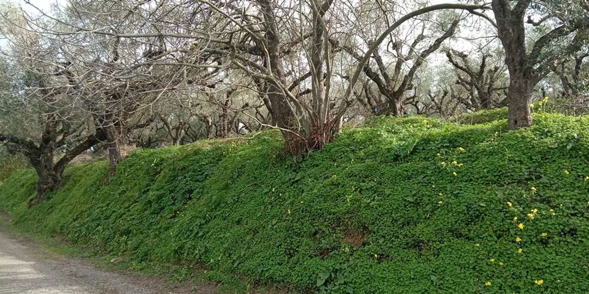 土地 在 Zakynthos, Zakinthos 10086590