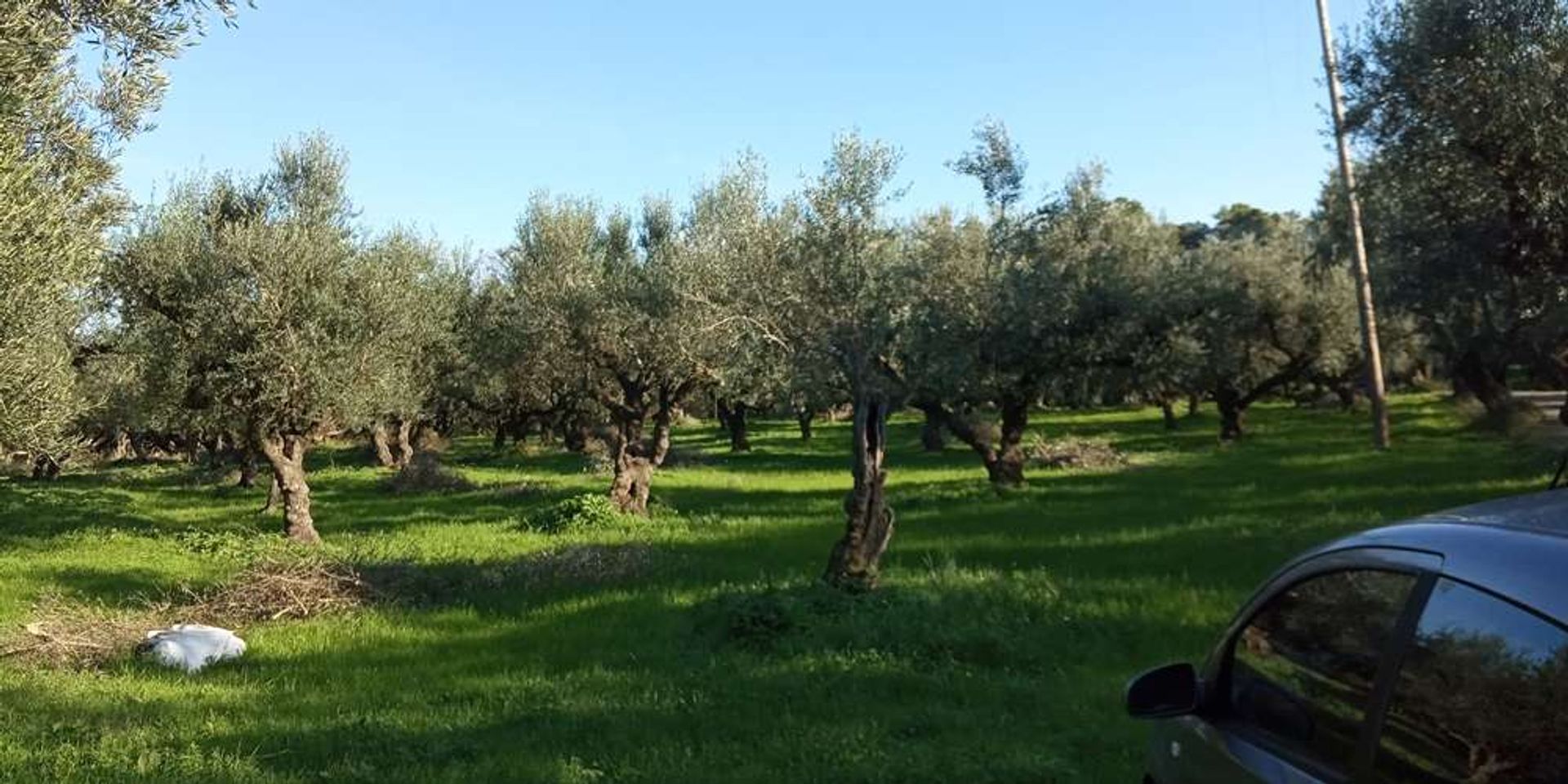 Land in Bochali, Ionië Nisia 10086591