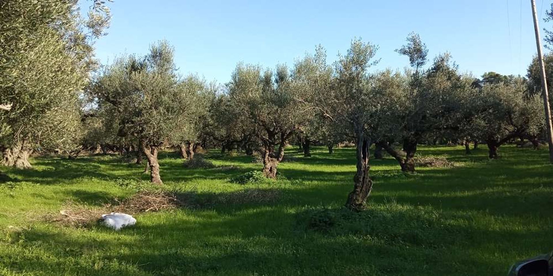 Land in Bochali, Ionië Nisia 10086591