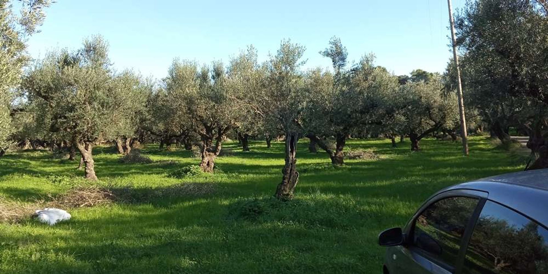 الأرض في Zakynthos, Zakinthos 10086591