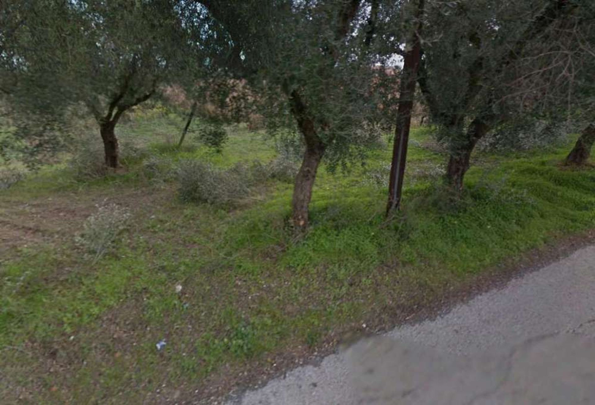 الأرض في Zakynthos, Zakinthos 10086593