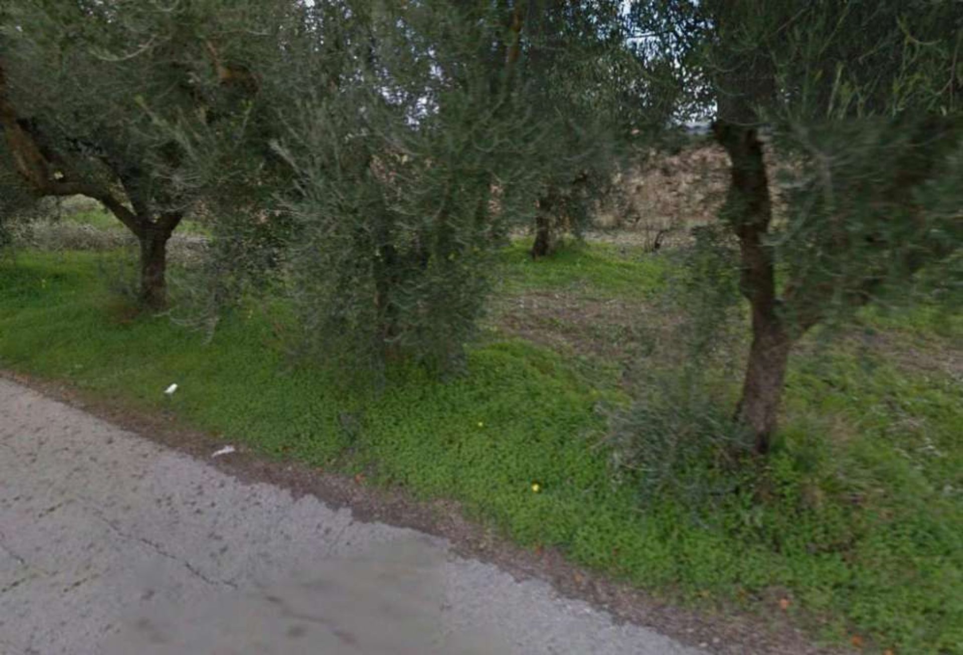 Tanah di Zakynthos, Zakinthos 10086593