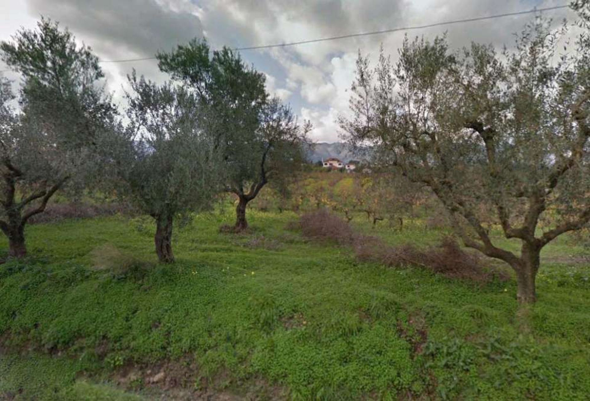 ארץ ב Zakynthos, Zakinthos 10086593