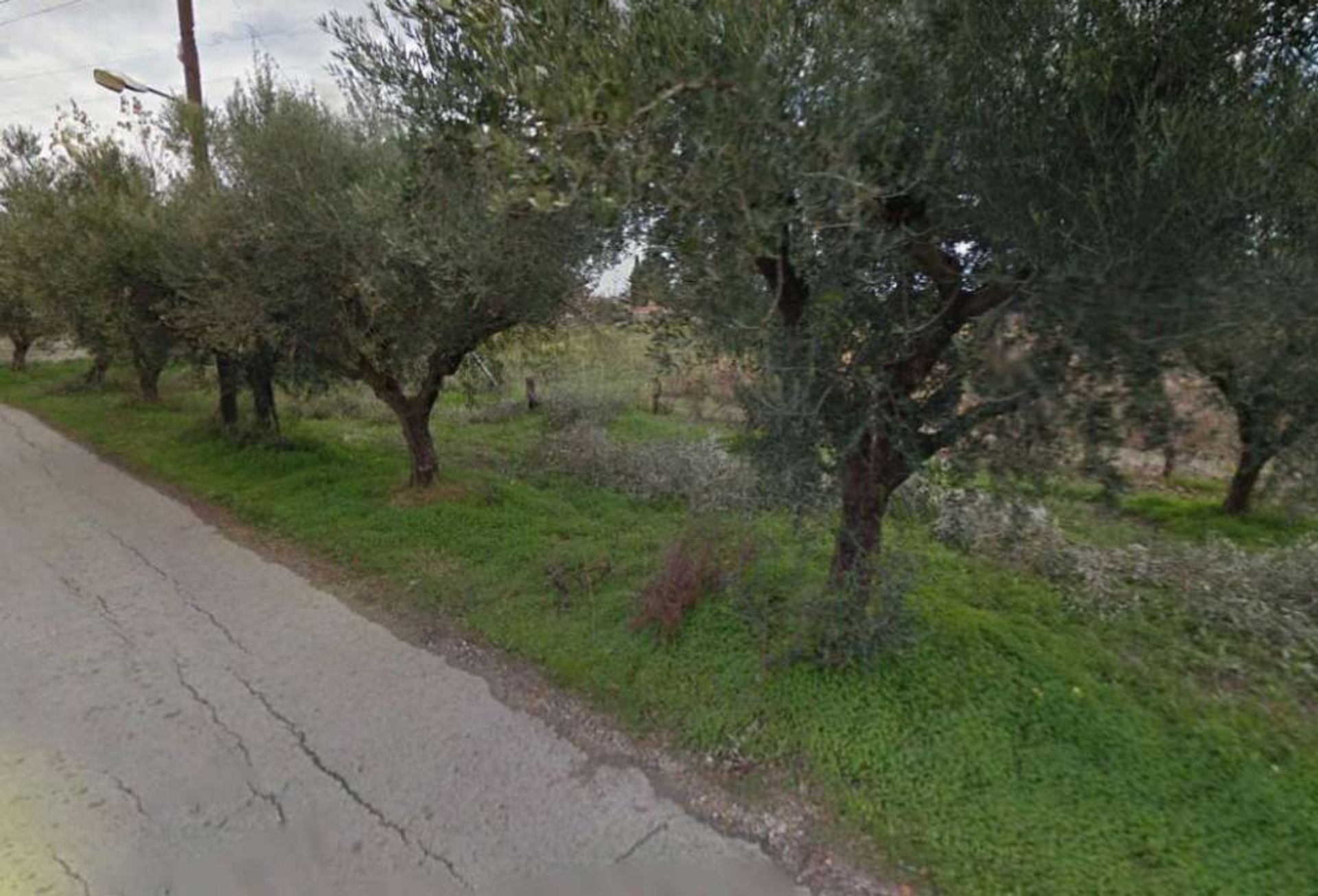 Tanah di Zakynthos, Zakinthos 10086593