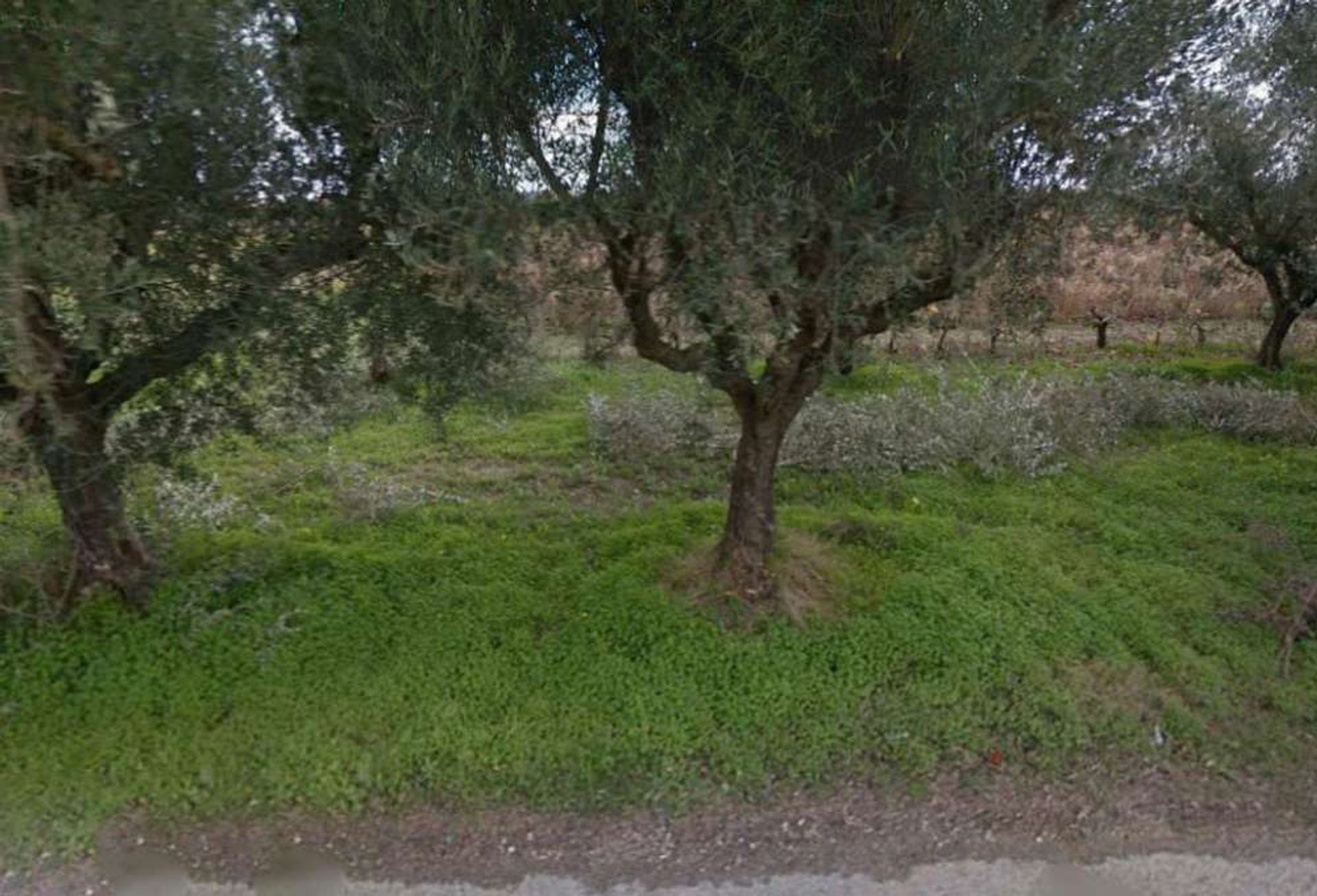 Γη σε Zakynthos, Zakinthos 10086593