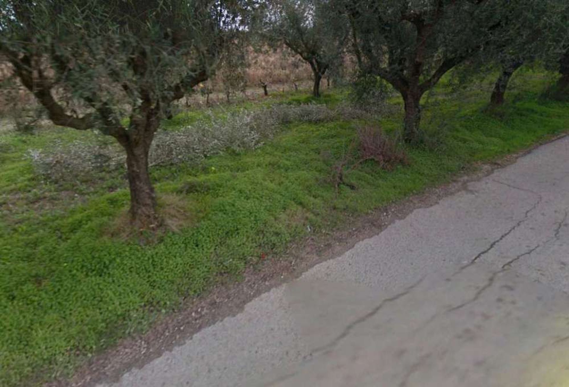 ארץ ב Zakynthos, Zakinthos 10086593