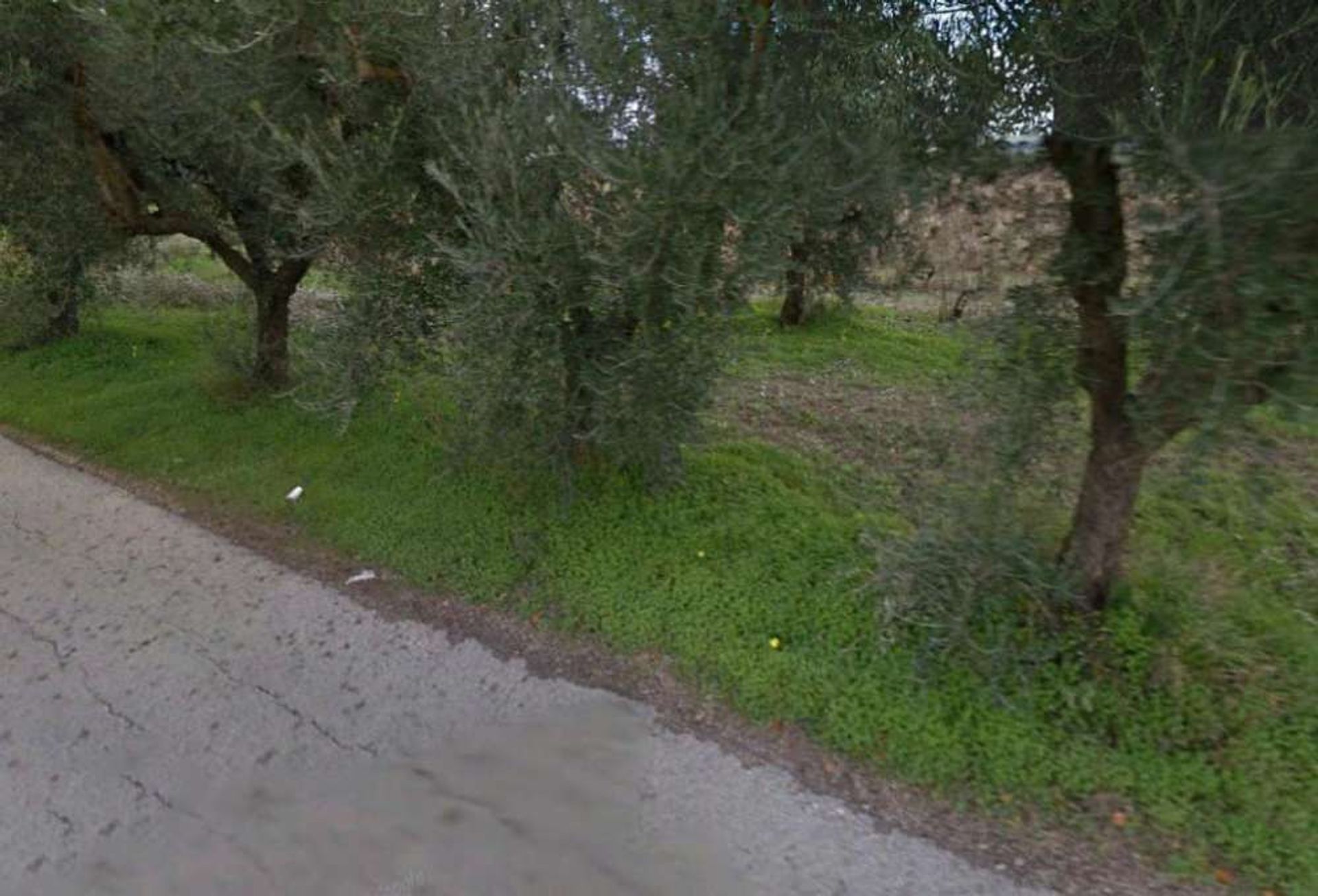 الأرض في Zakynthos, Zakinthos 10086593