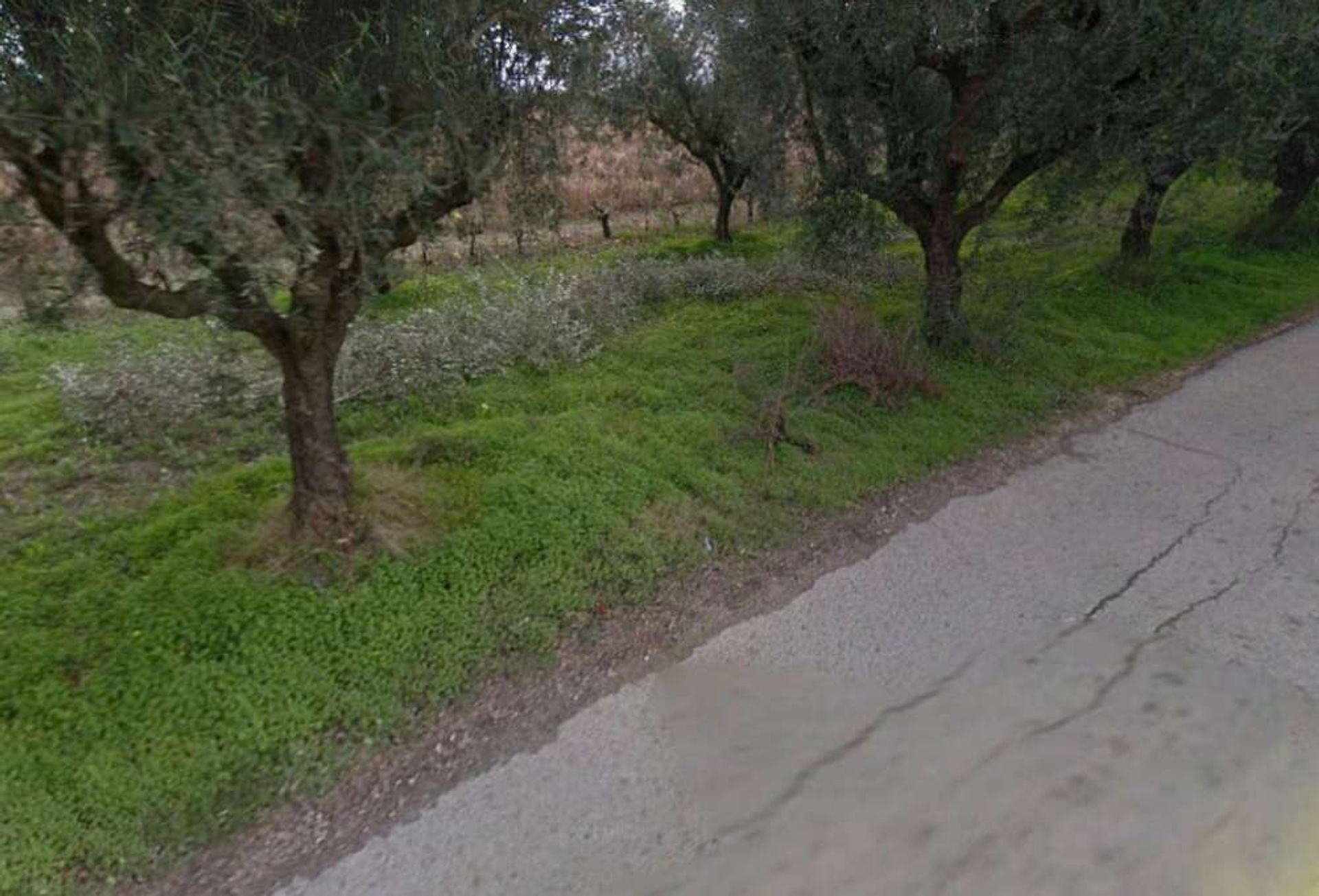 ארץ ב Zakynthos, Zakinthos 10086593