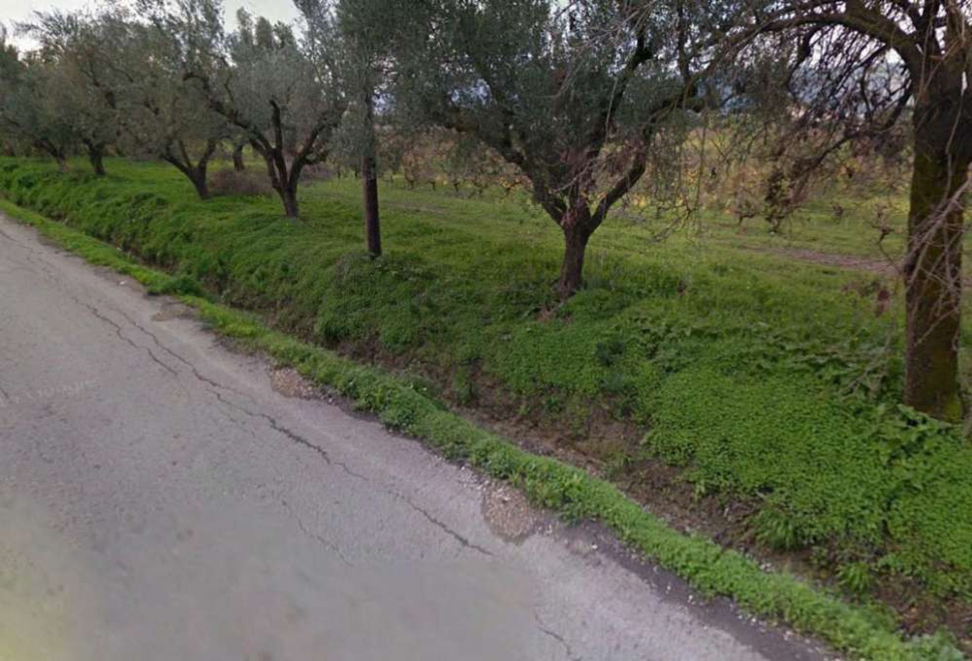 Tanah di Zakynthos, Zakinthos 10086593