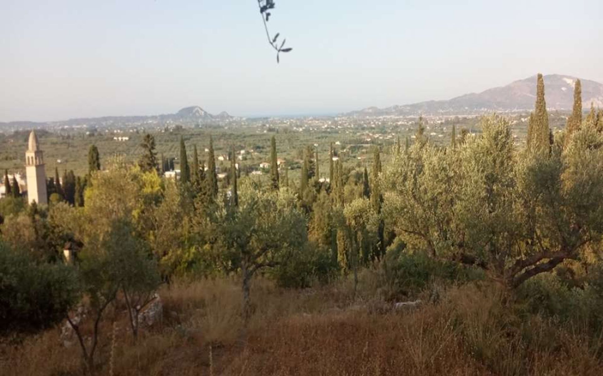 Tanah dalam Zakynthos, Zakinthos 10086597