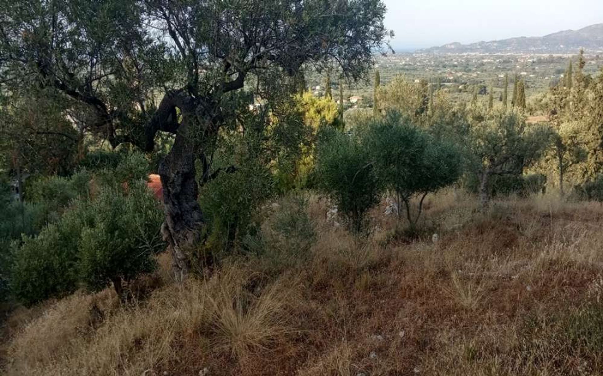 Land in Zakynthos, Zakinthos 10086597