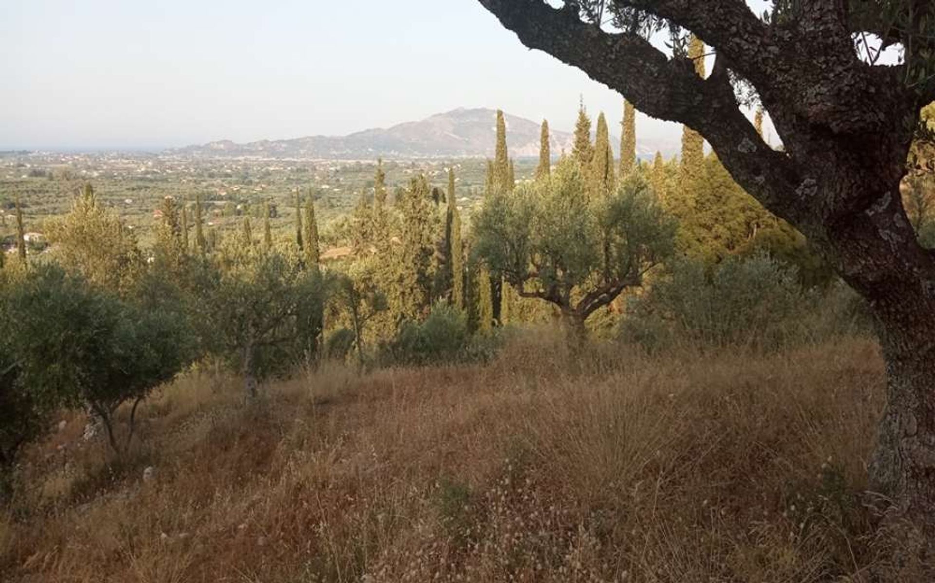 Tanah dalam Zakynthos, Zakinthos 10086597