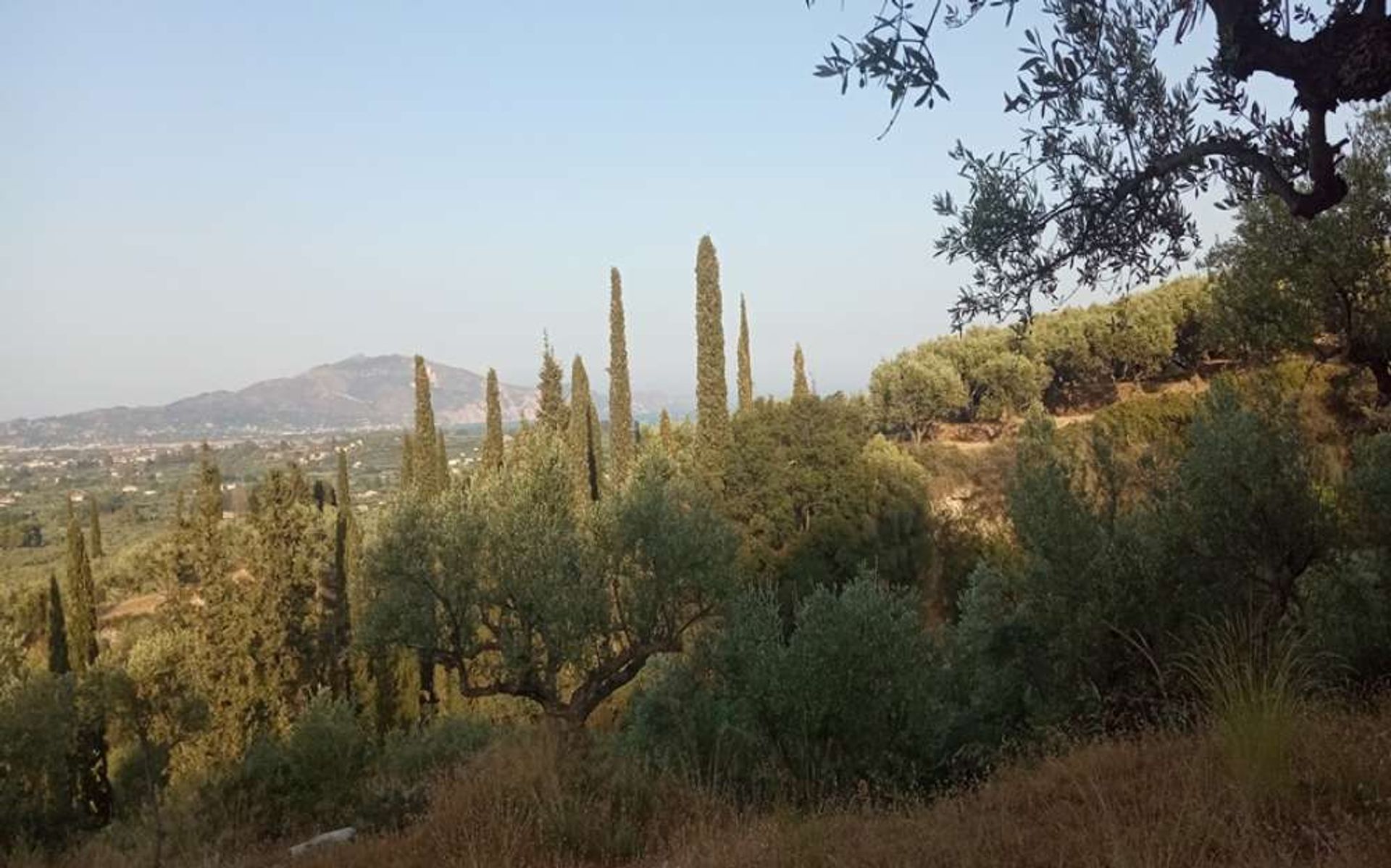 Land in Zakynthos, Zakinthos 10086597