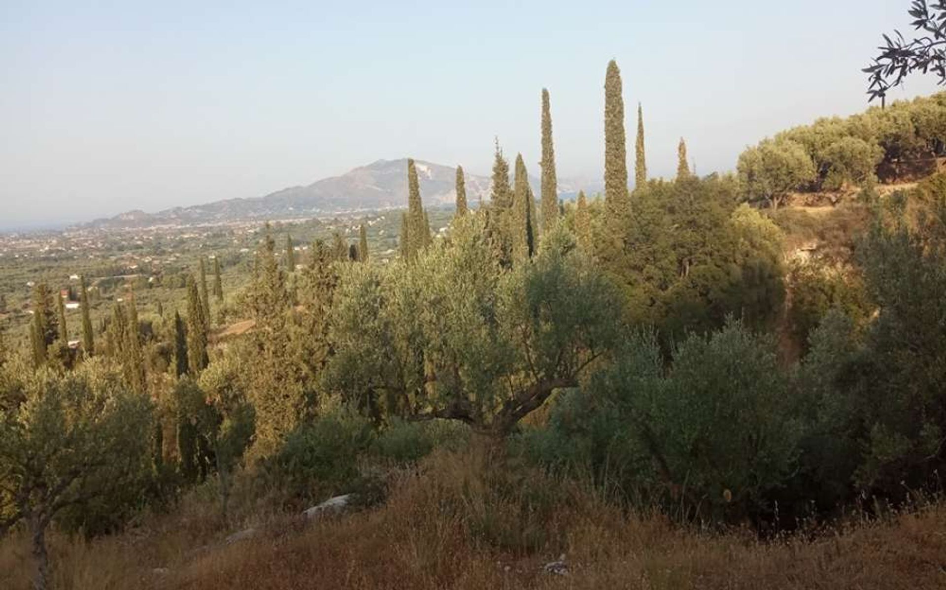 Tanah dalam Zakynthos, Zakinthos 10086597